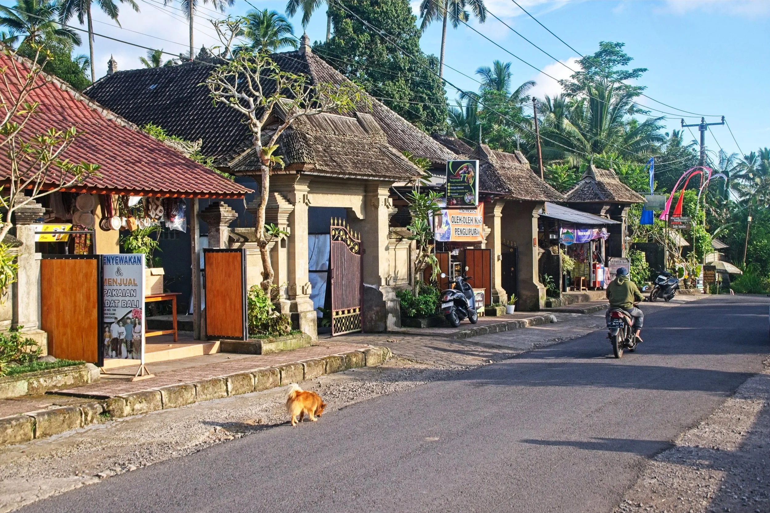 DSC_1343+1.jpg