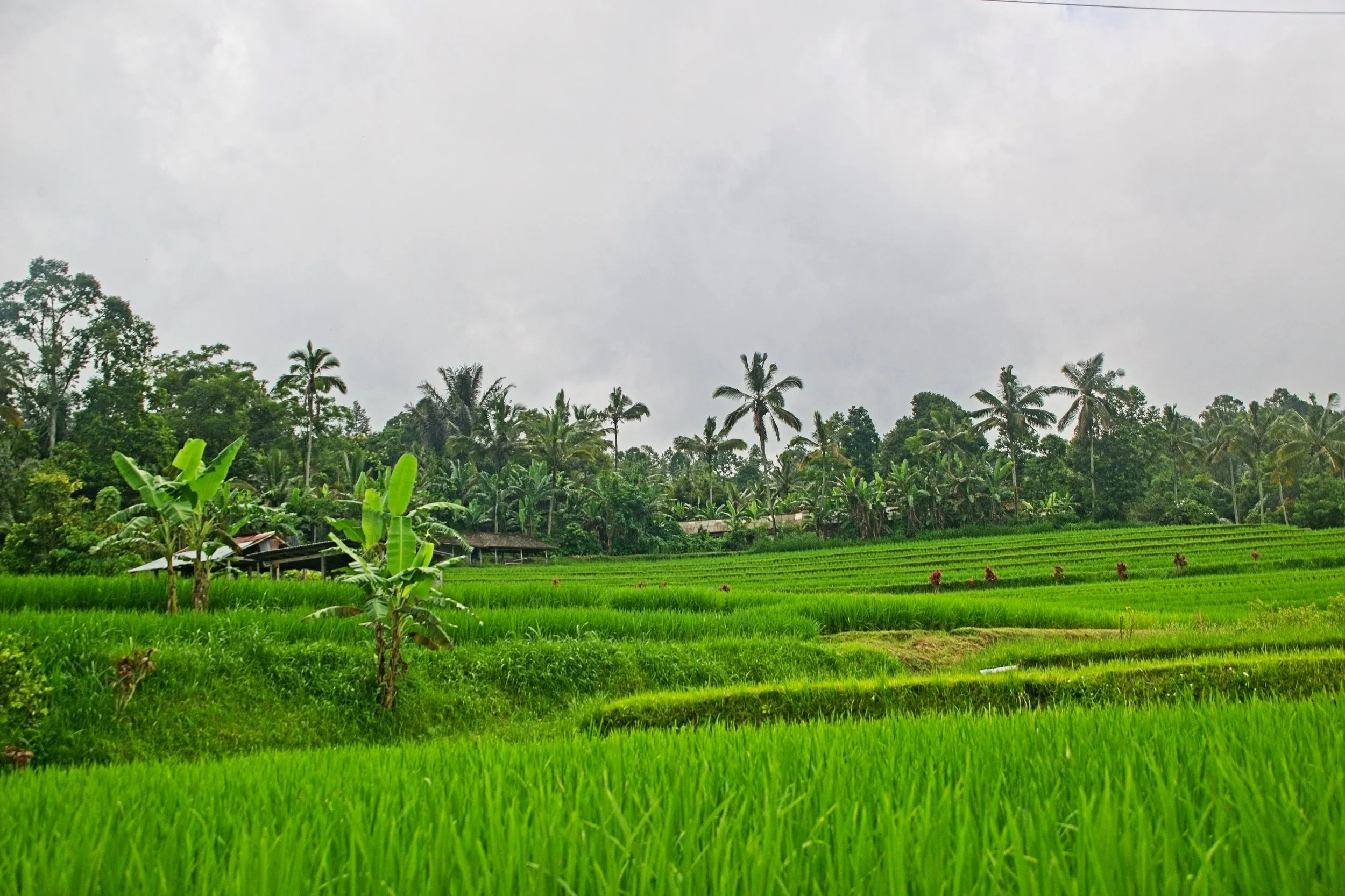 DSC_1591+1.jpg