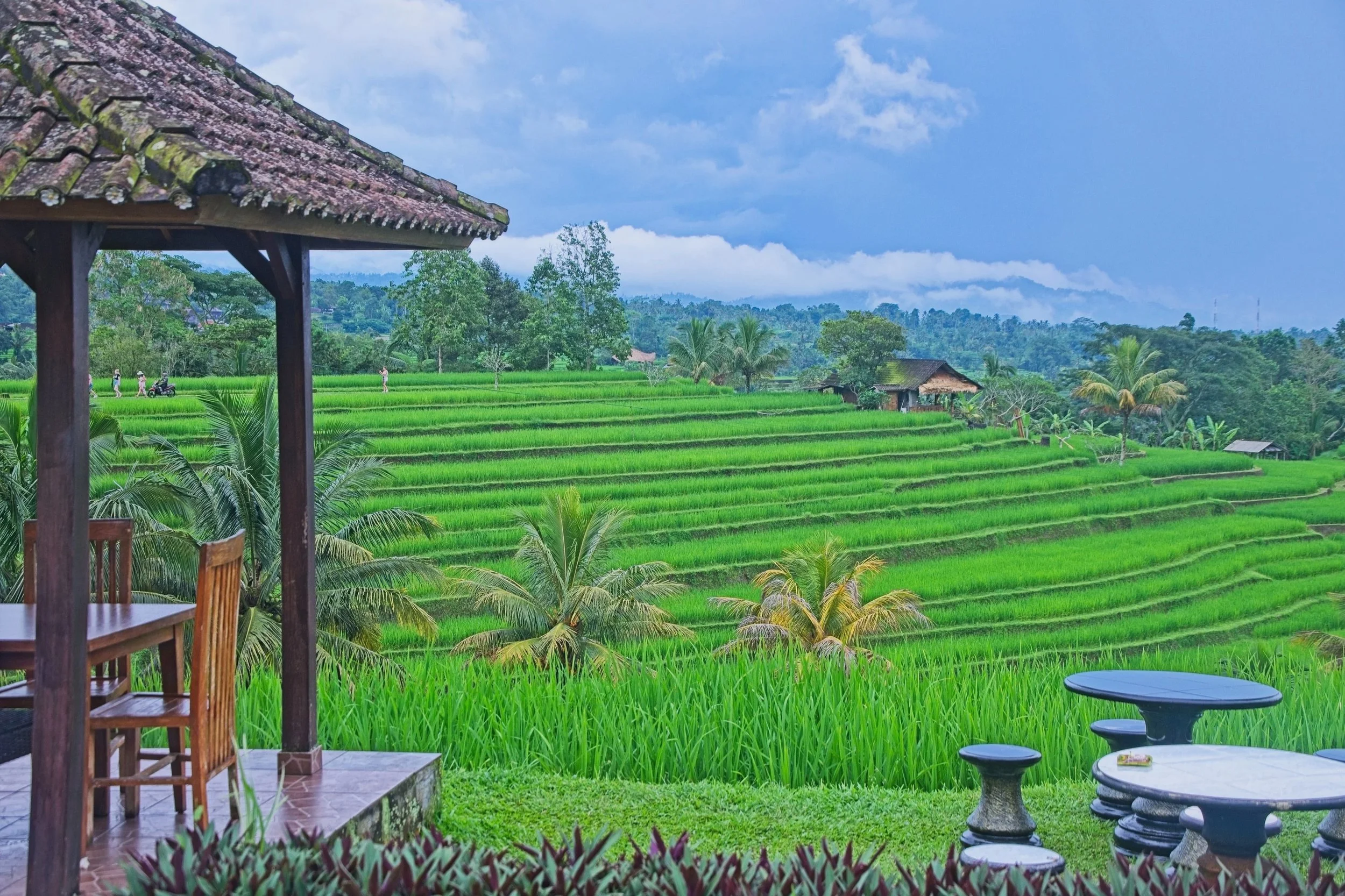 DSC_1592+1.jpg