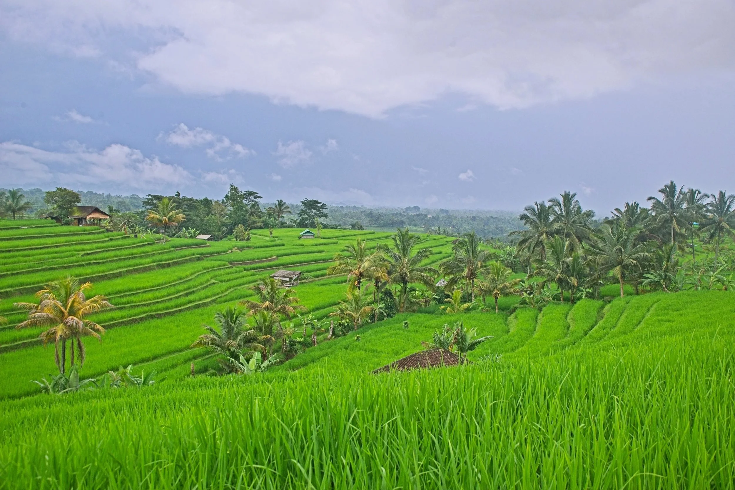 DSC_1602+1.jpg