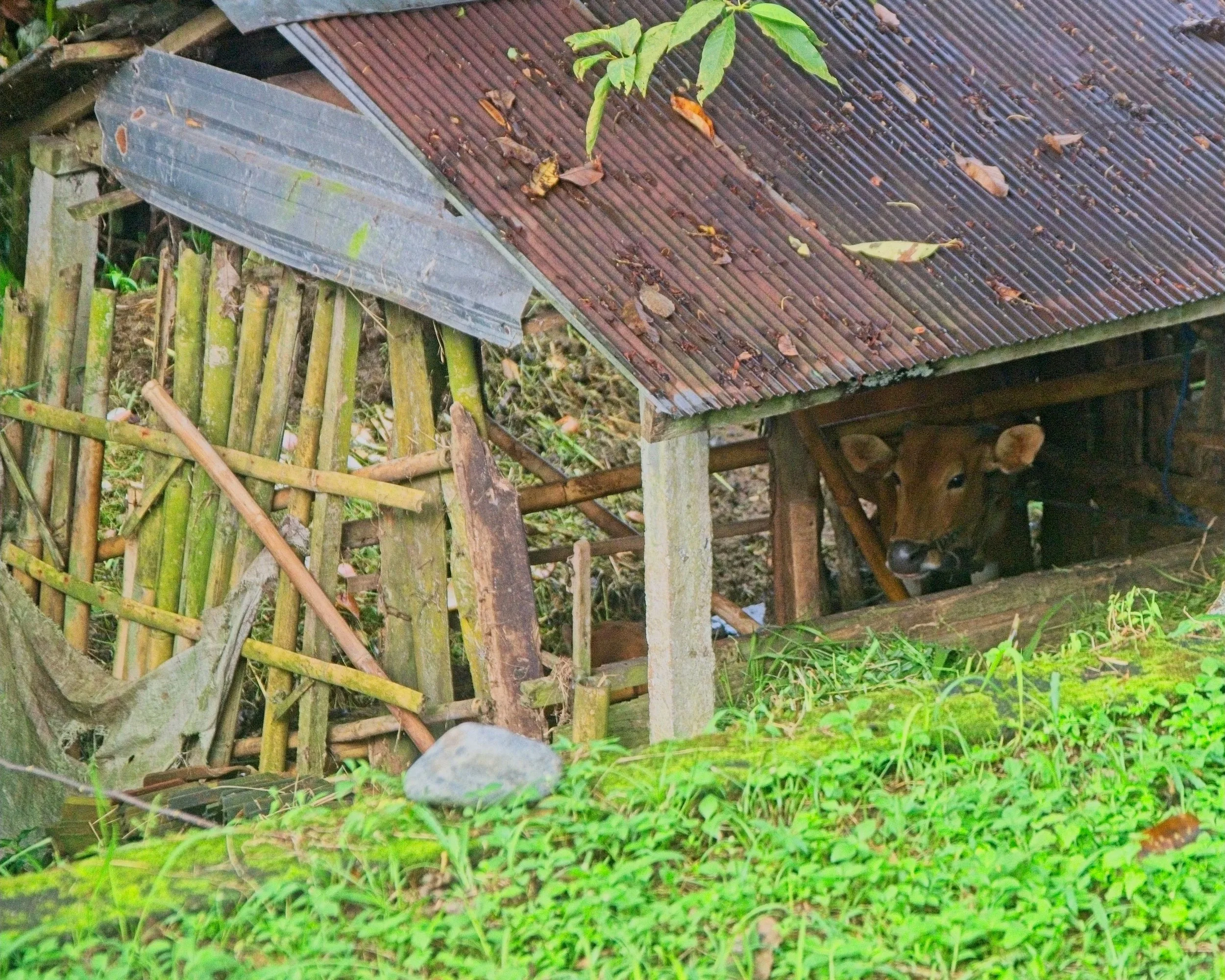 DSC_1628.jpg