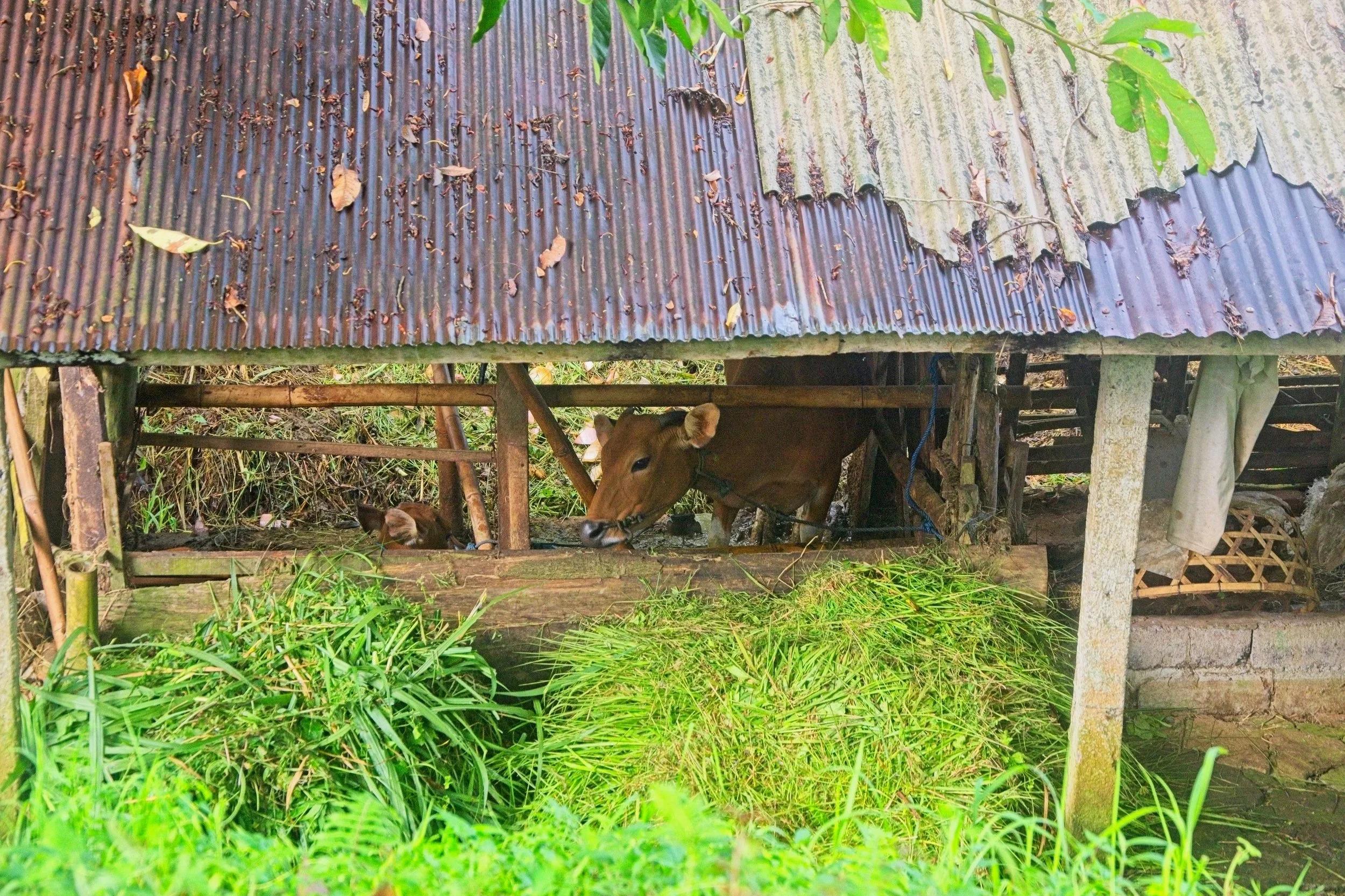 DSC_1629.jpg