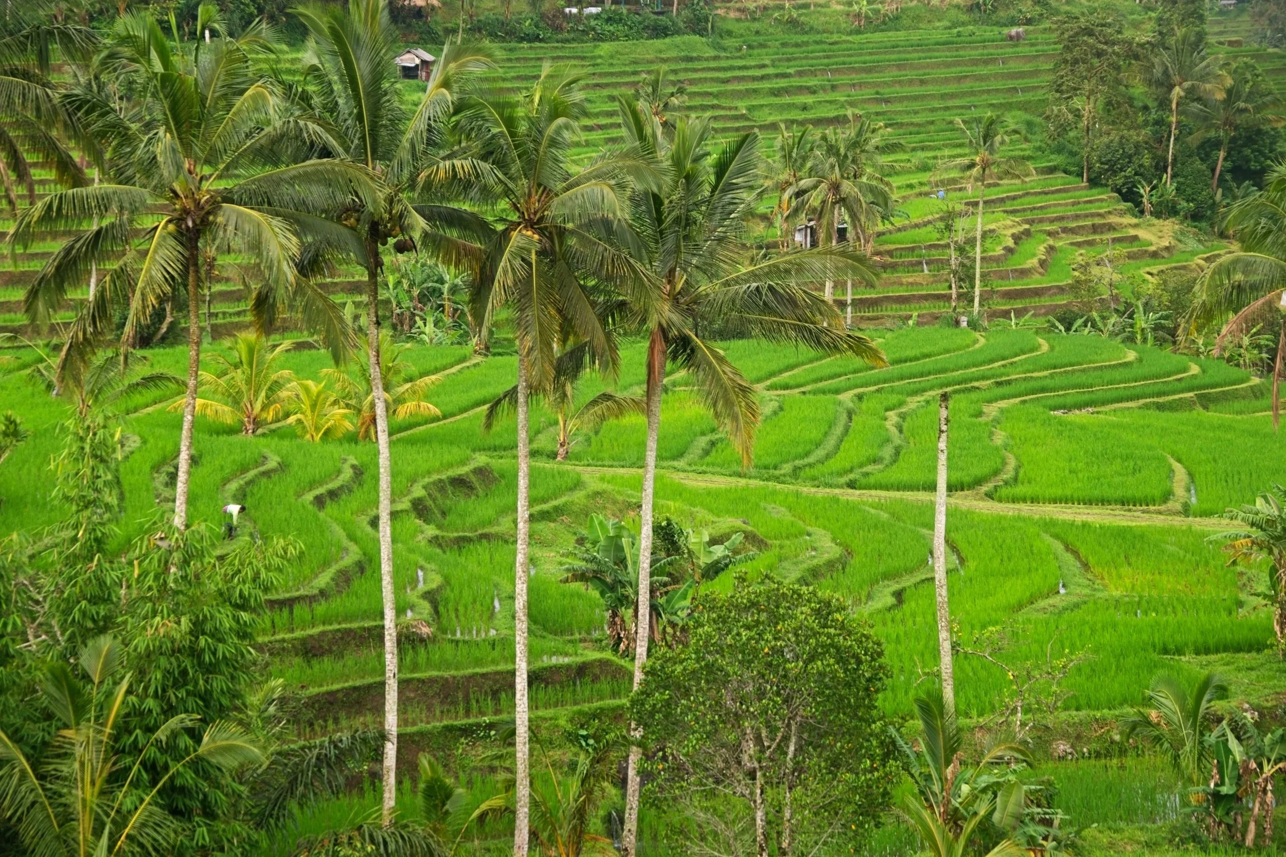 DSC_1633.jpg