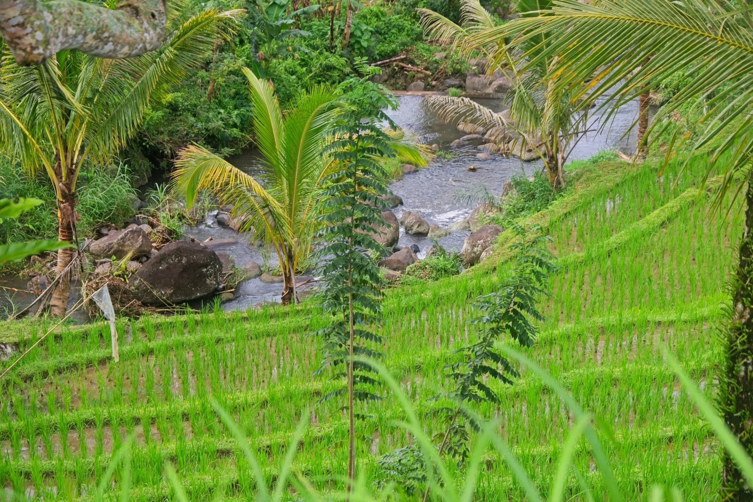 DSC_1641.jpg