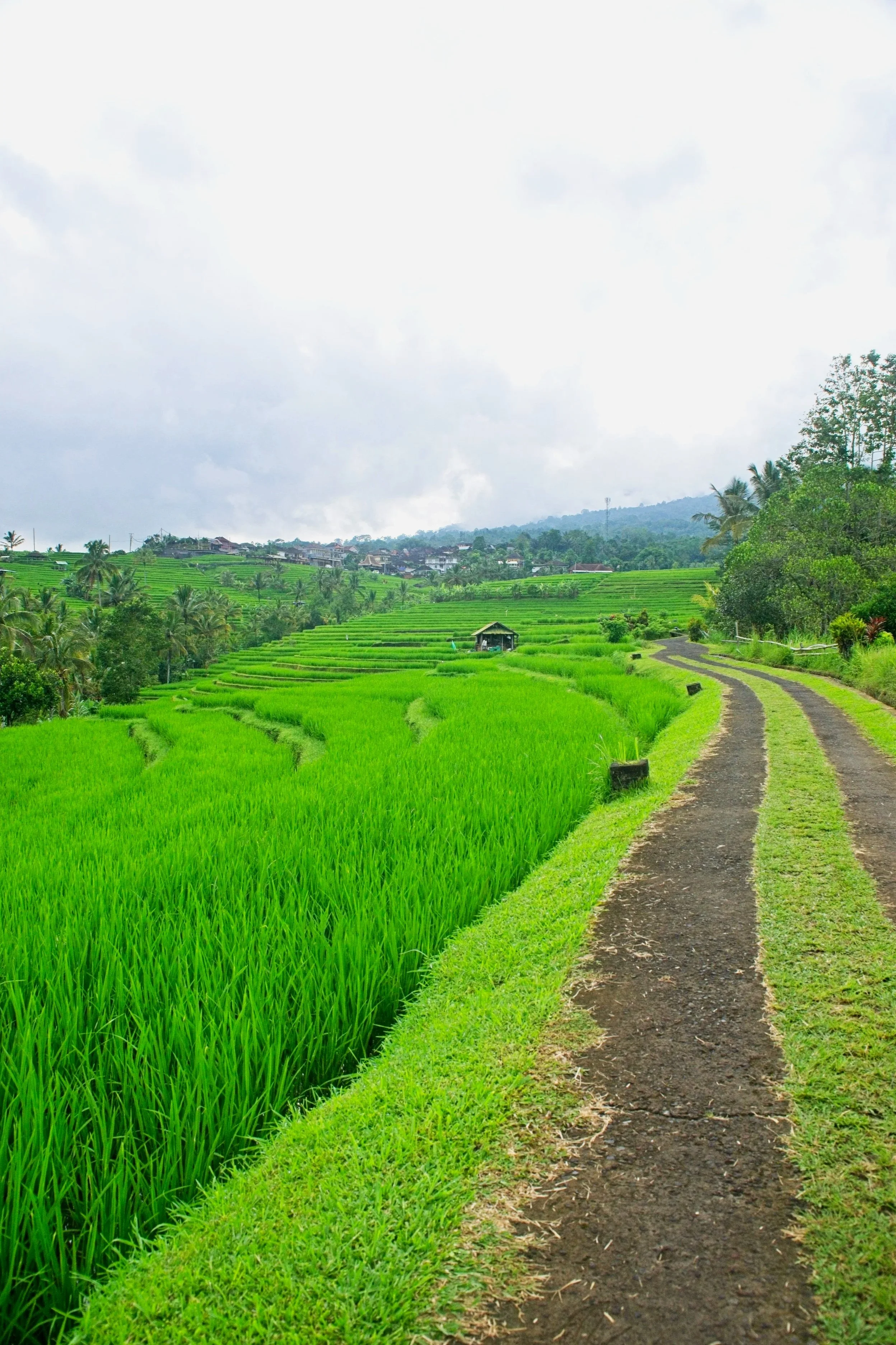 DSC_1647+1.jpg