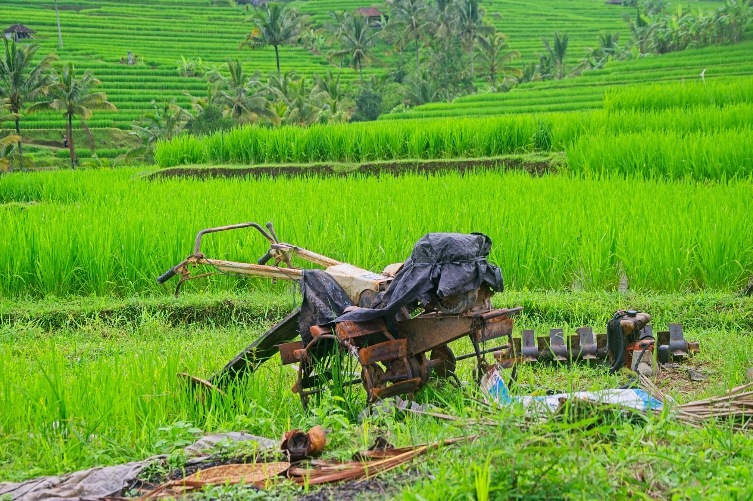 Rice tractor