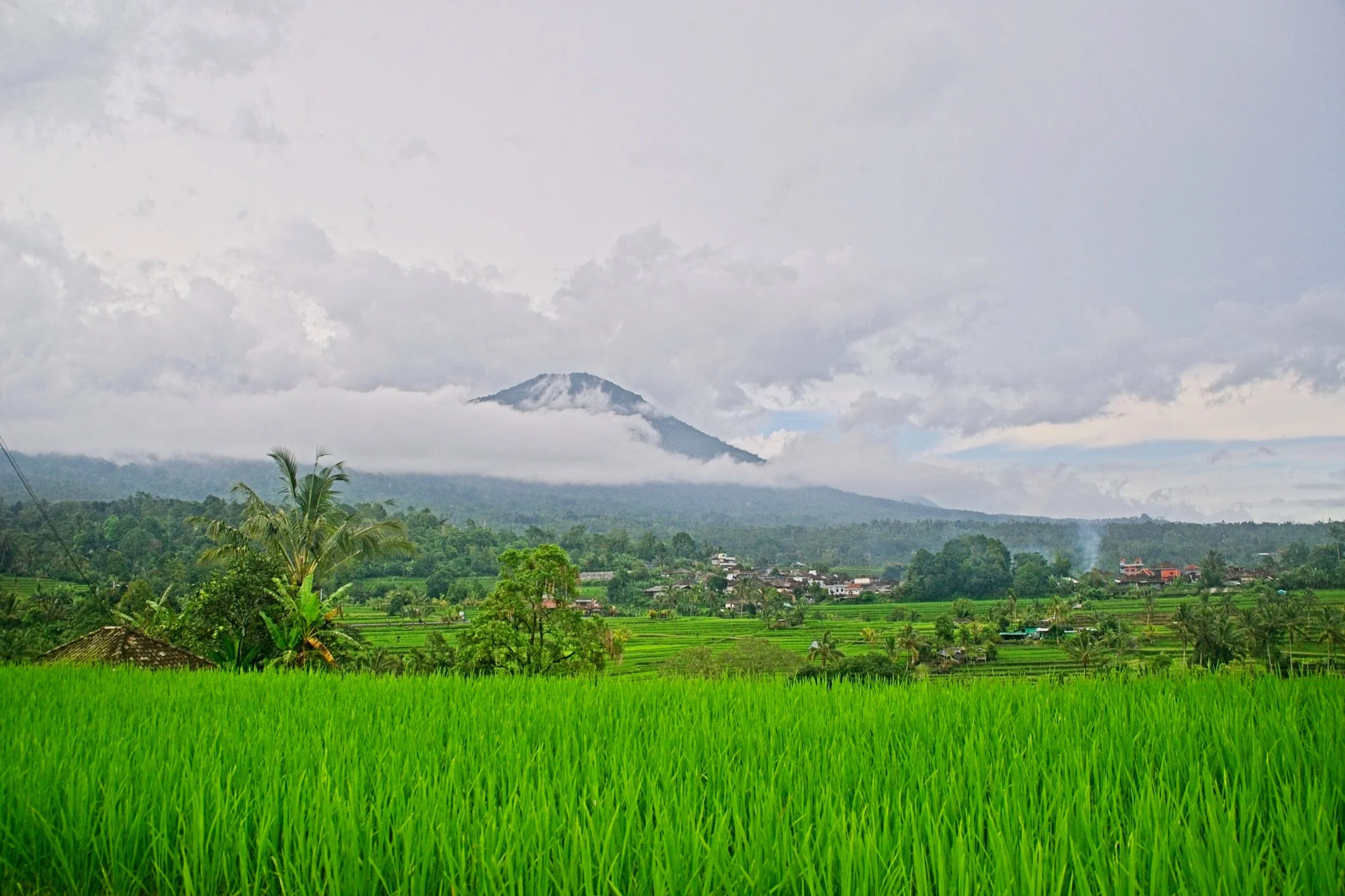 DSC_1657.jpg