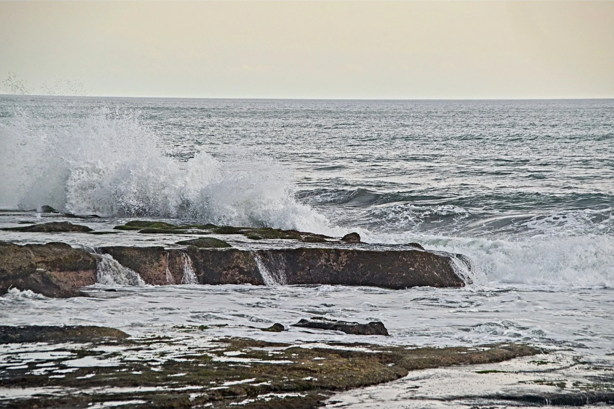 DSC_1688+2.jpg