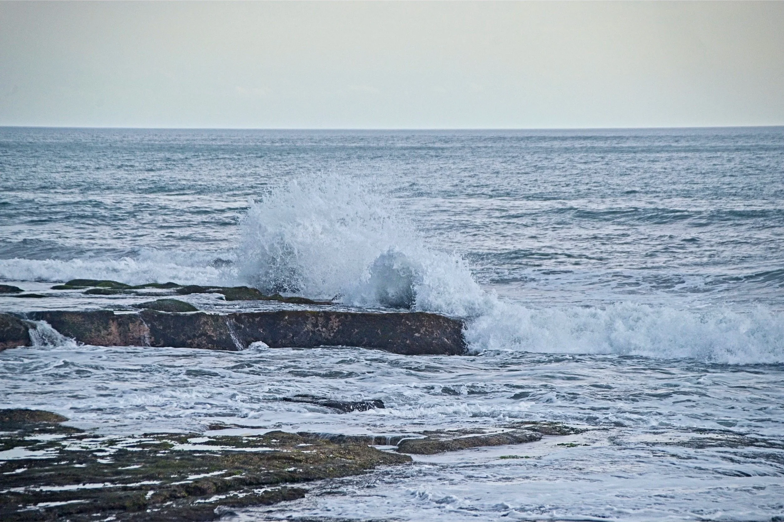 DSC_1694+1.jpg