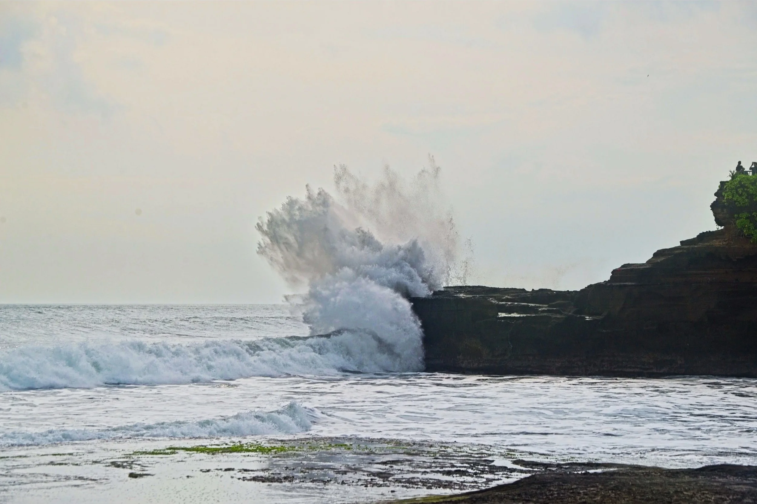 DSC_1698+1.jpg