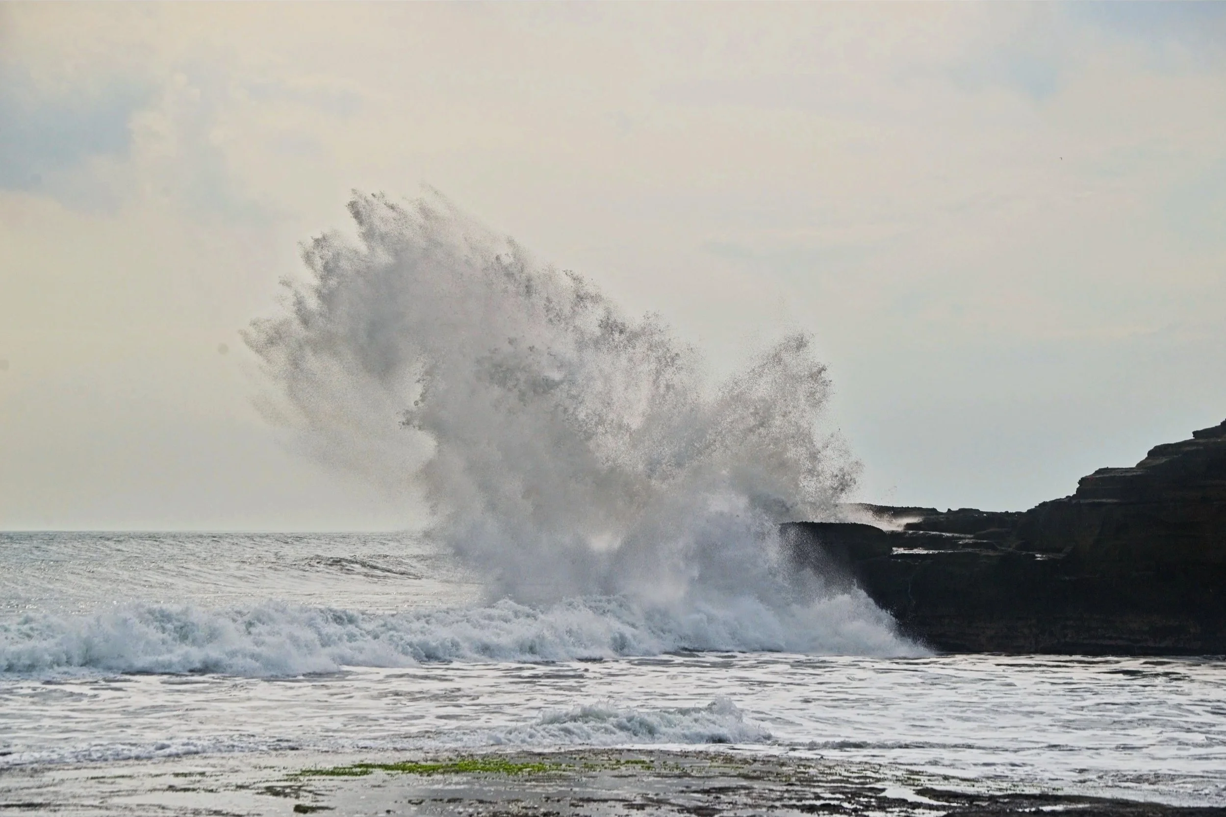 DSC_1701.jpg