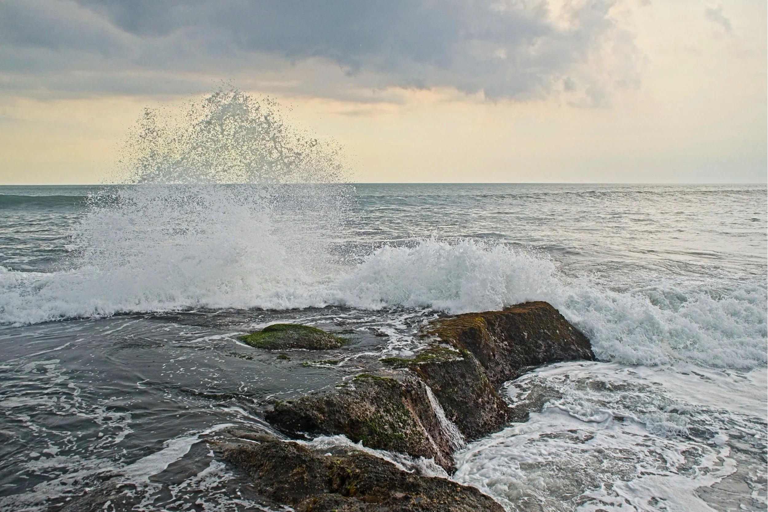 DSC_1716.jpg