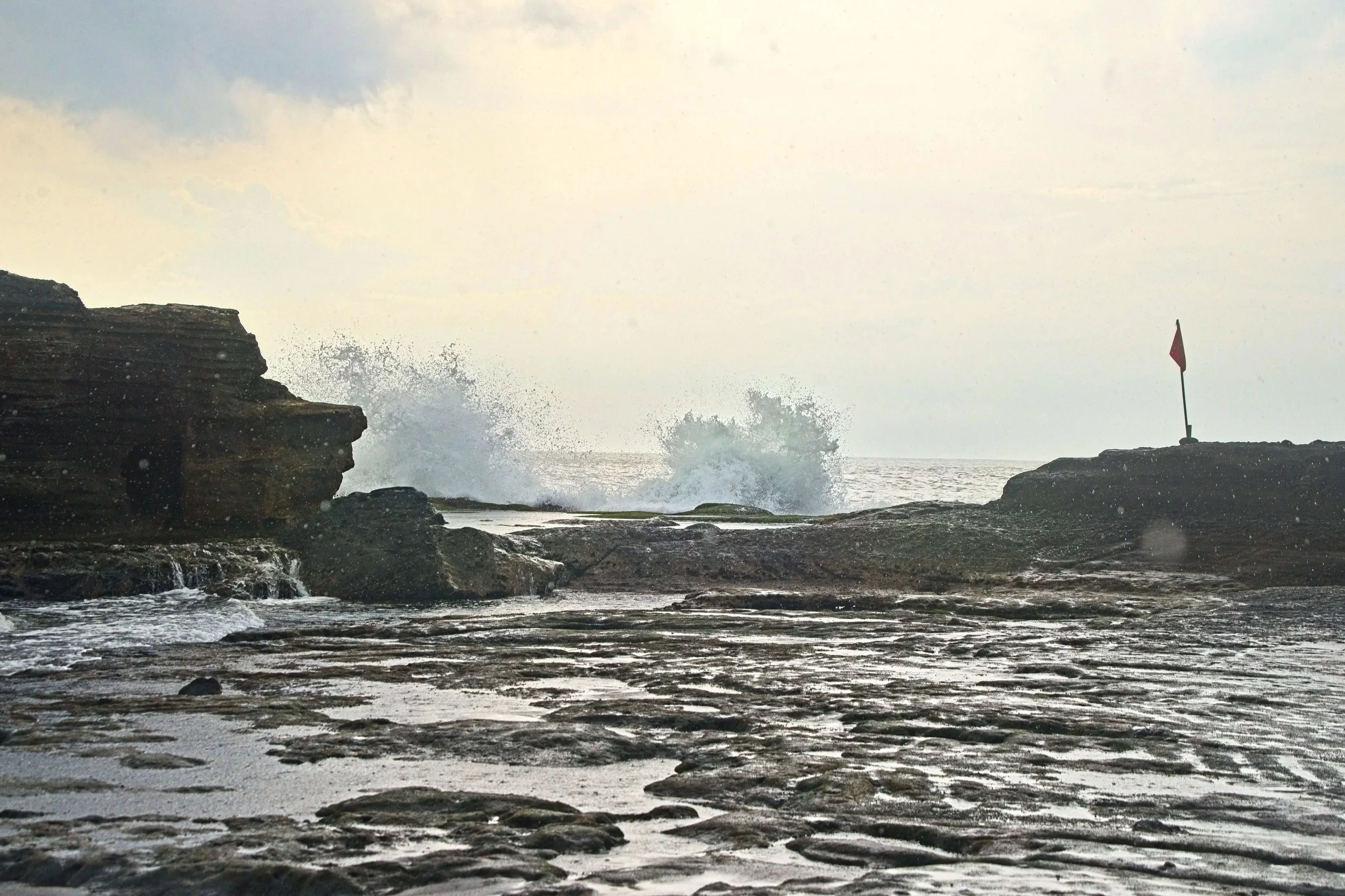 DSC_1725.jpg