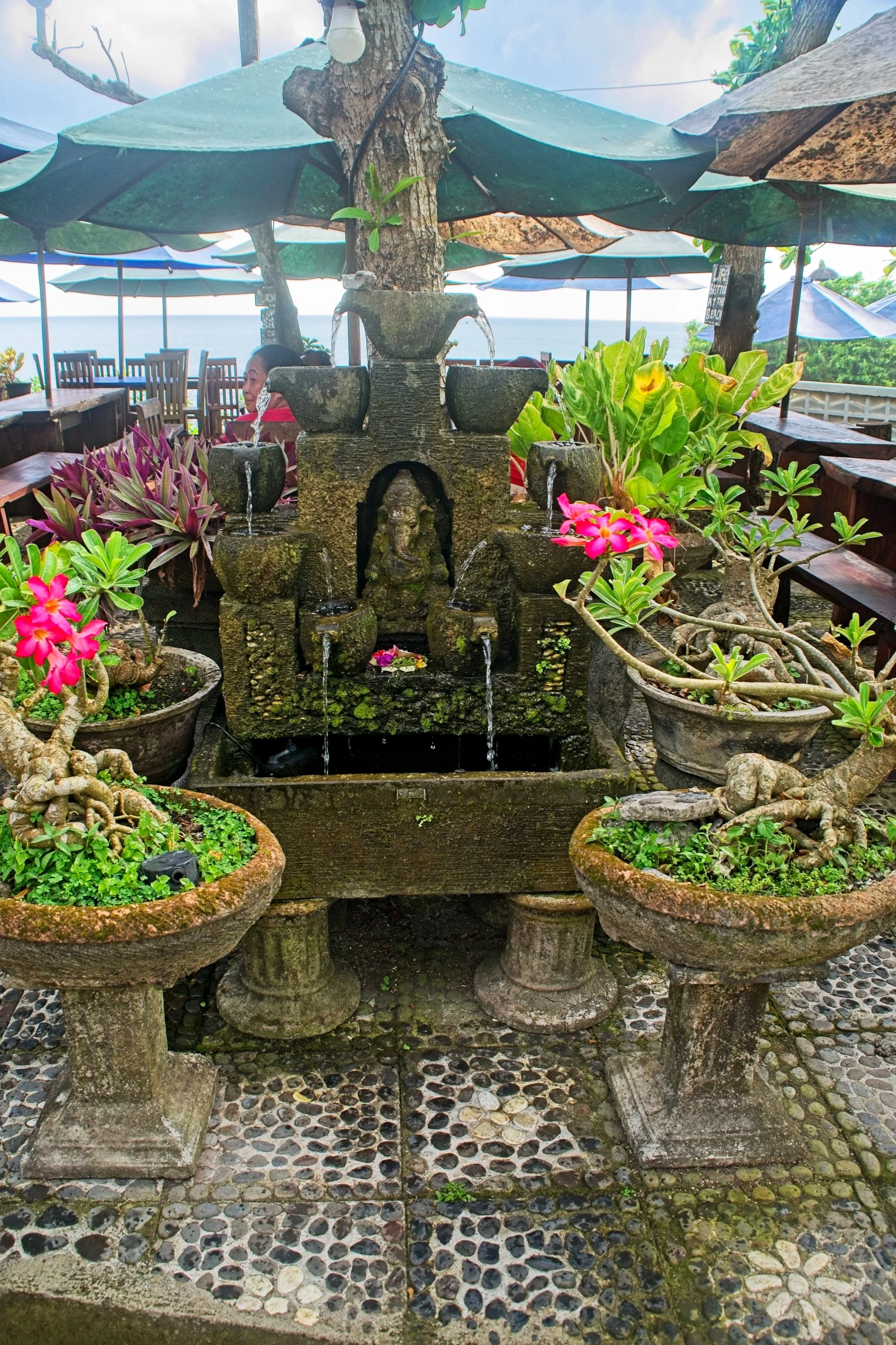 DSC_1729.jpg