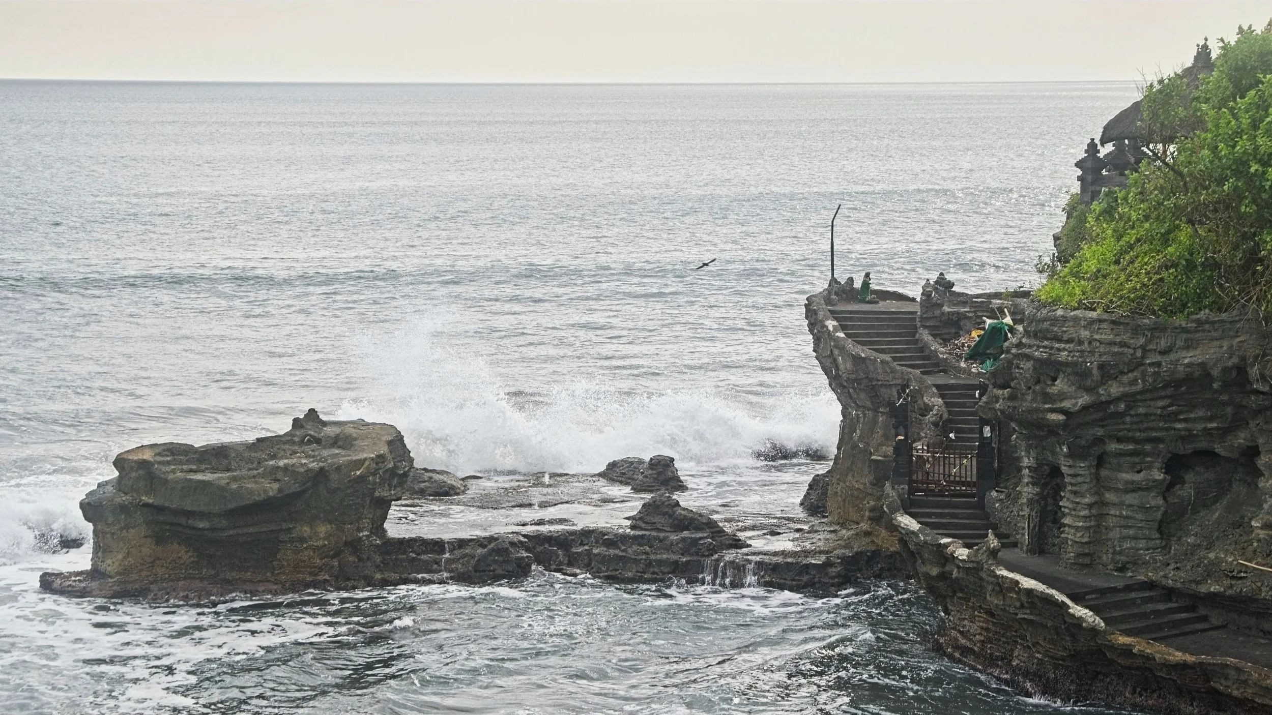 DSC_1733.jpg