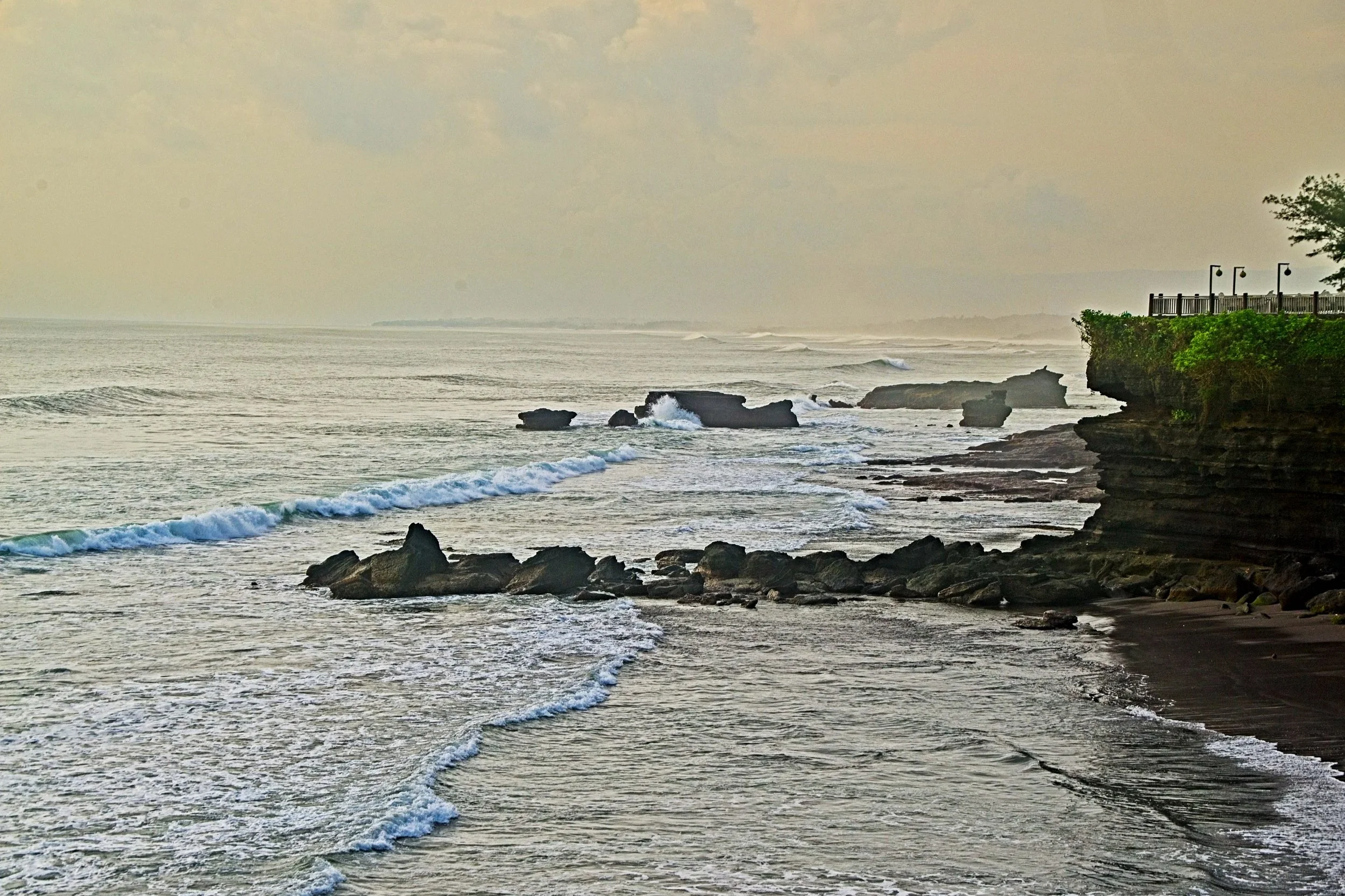 DSC_1769.jpg