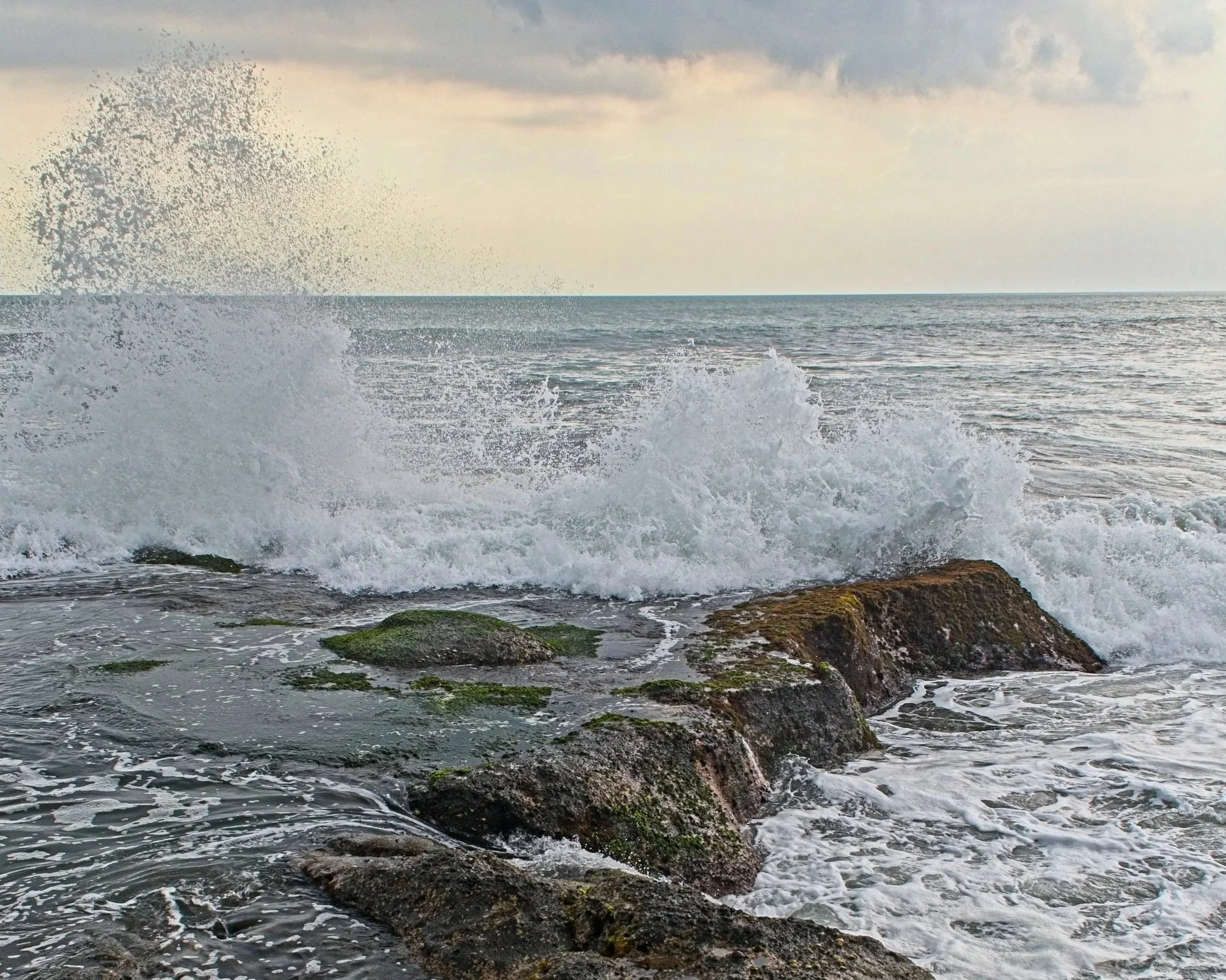 DSC_1710.jpg