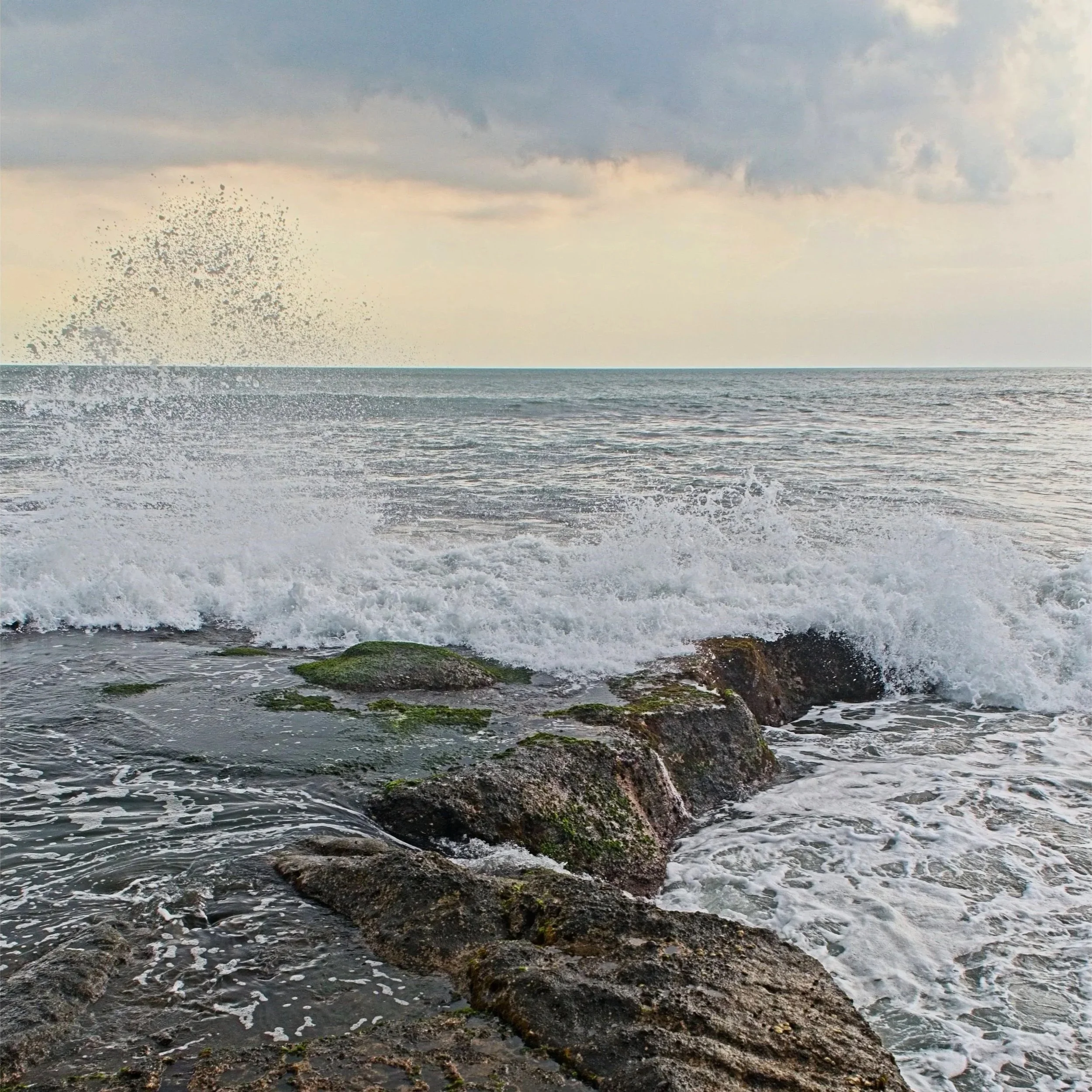 DSC_1711.jpg