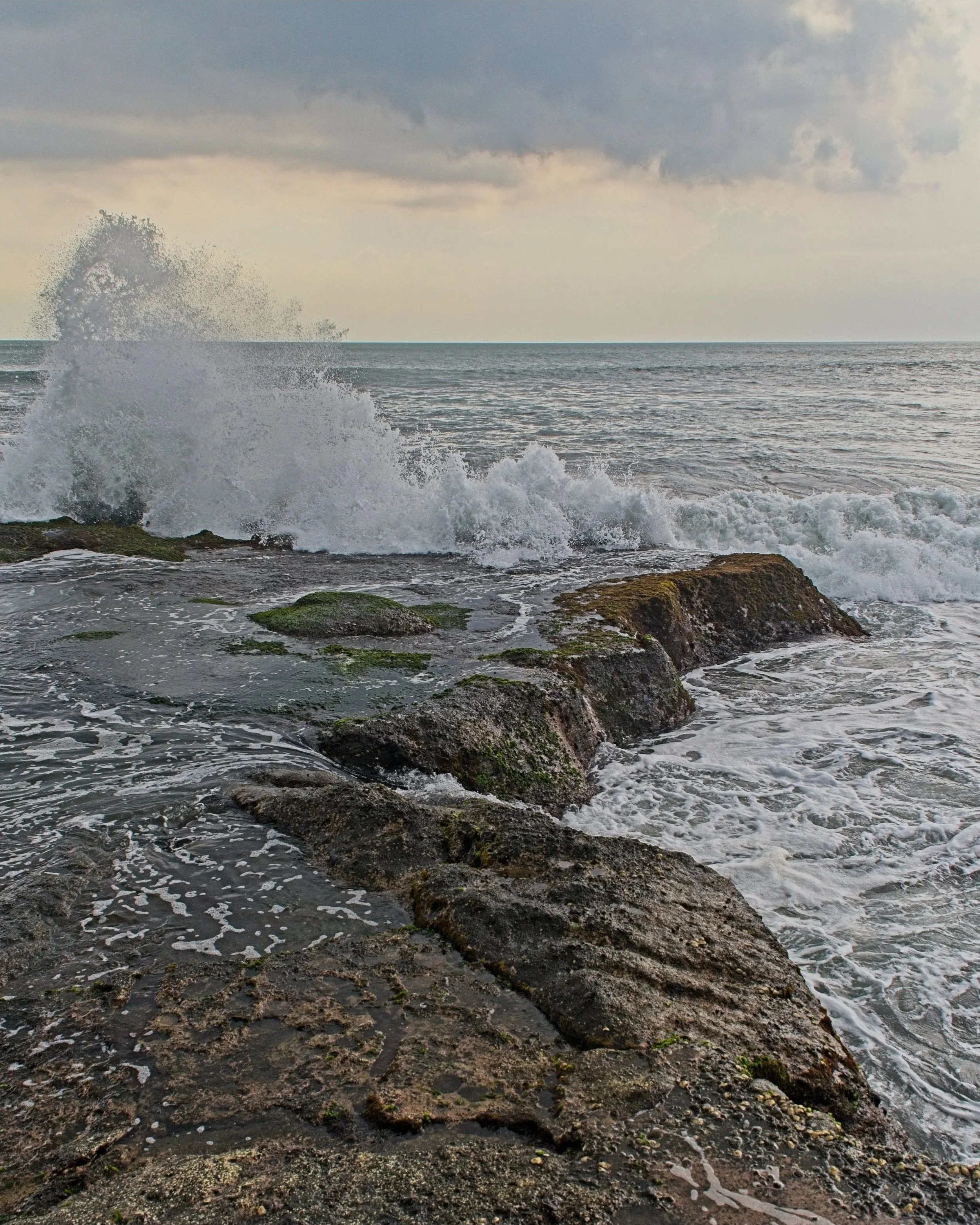 DSC_1709.jpg