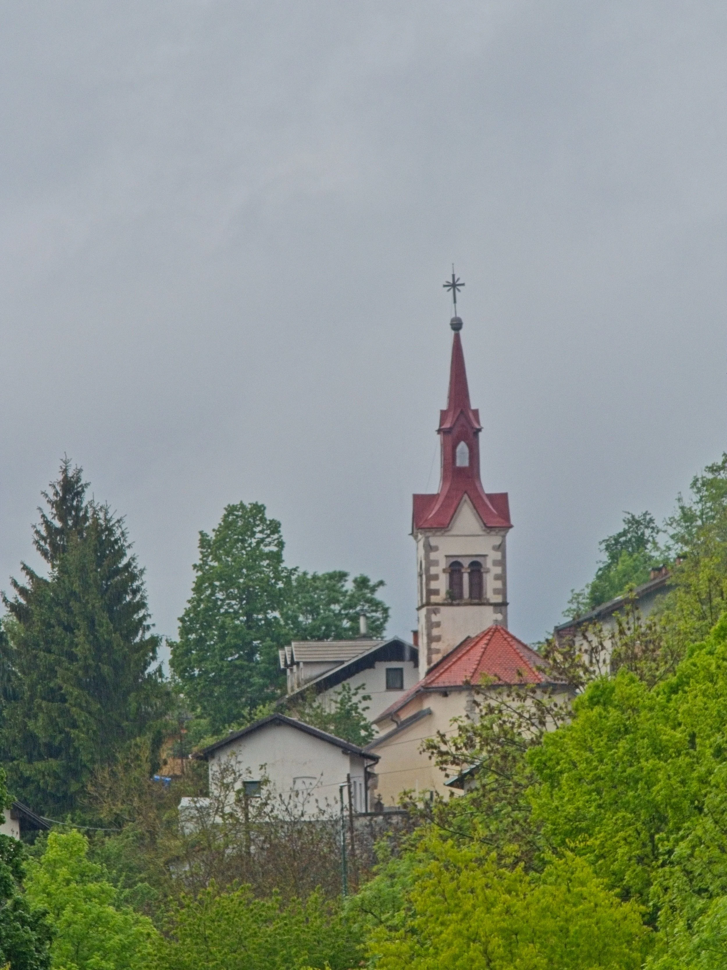 P1090968.jpg