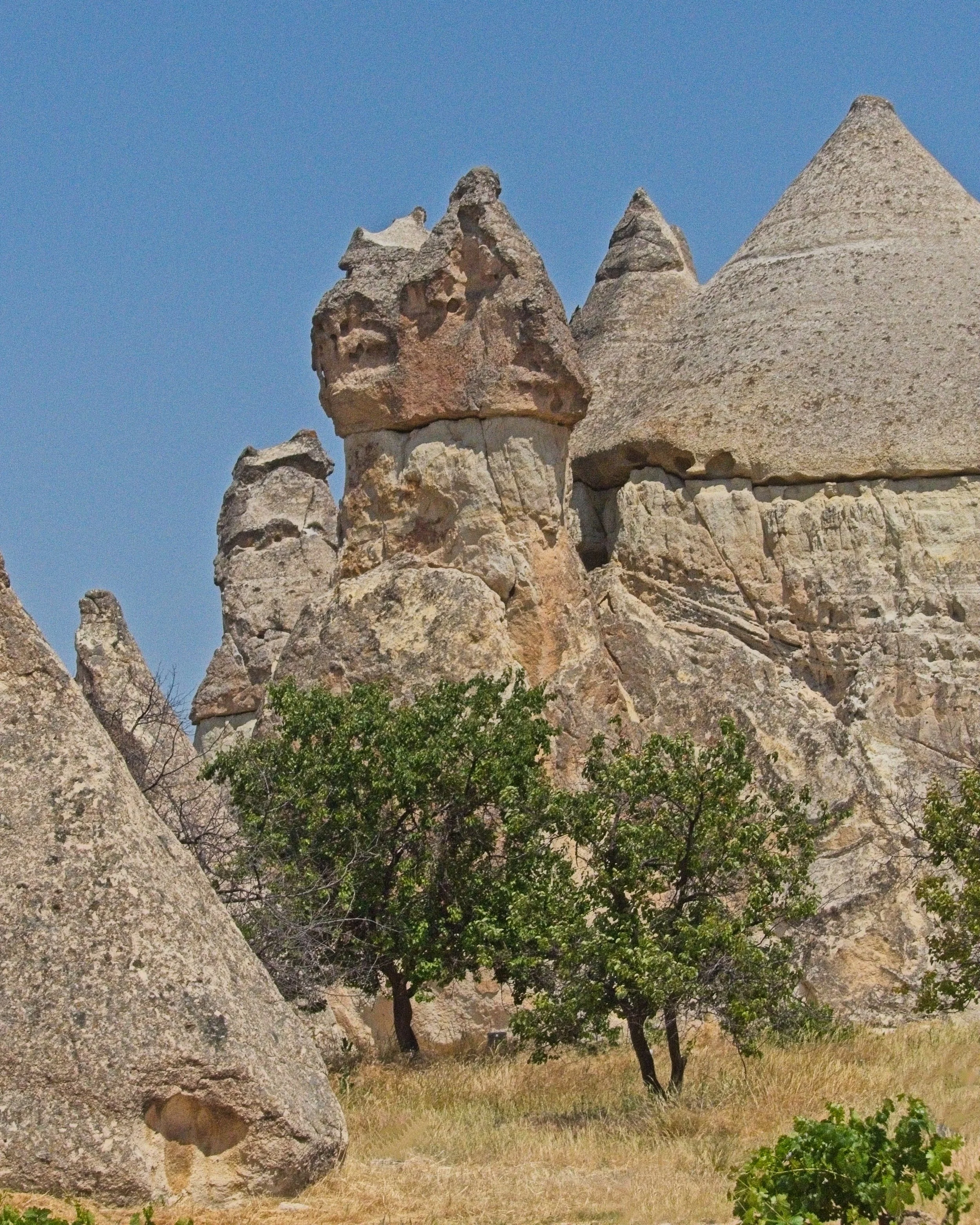 P1110475.jpg