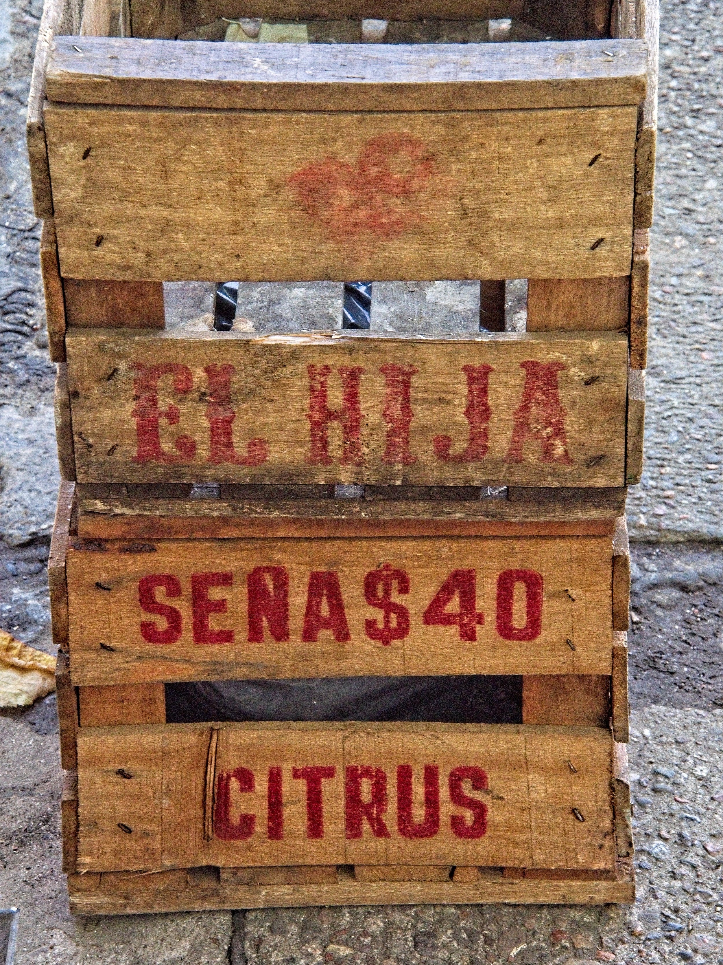 P1103652.jpg