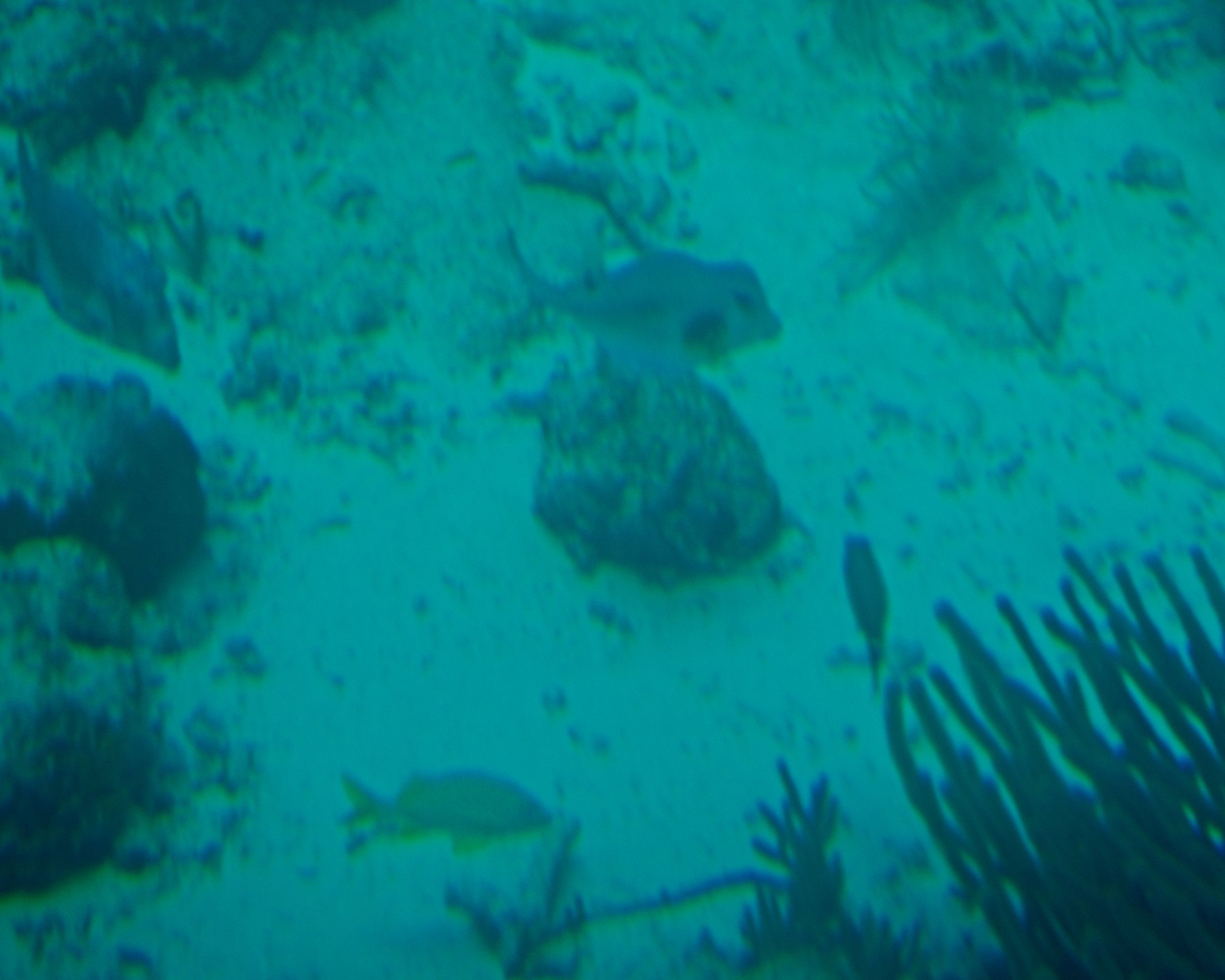 PC140025.jpg