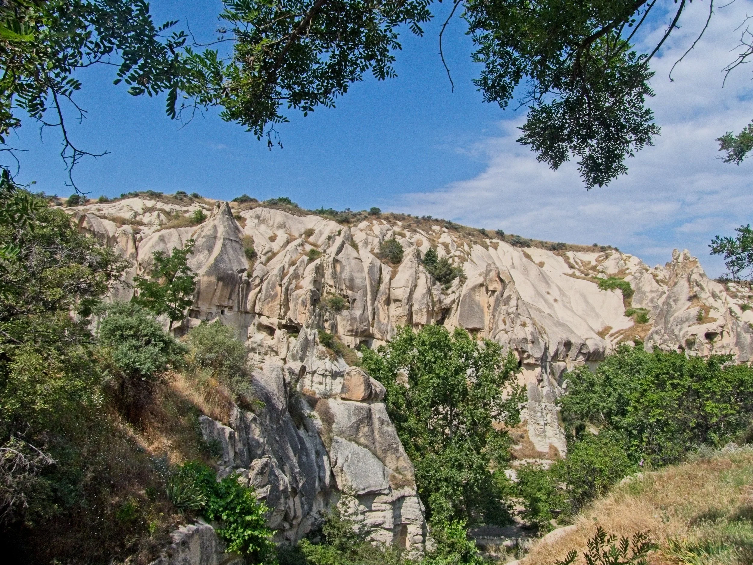 P1110425.jpg