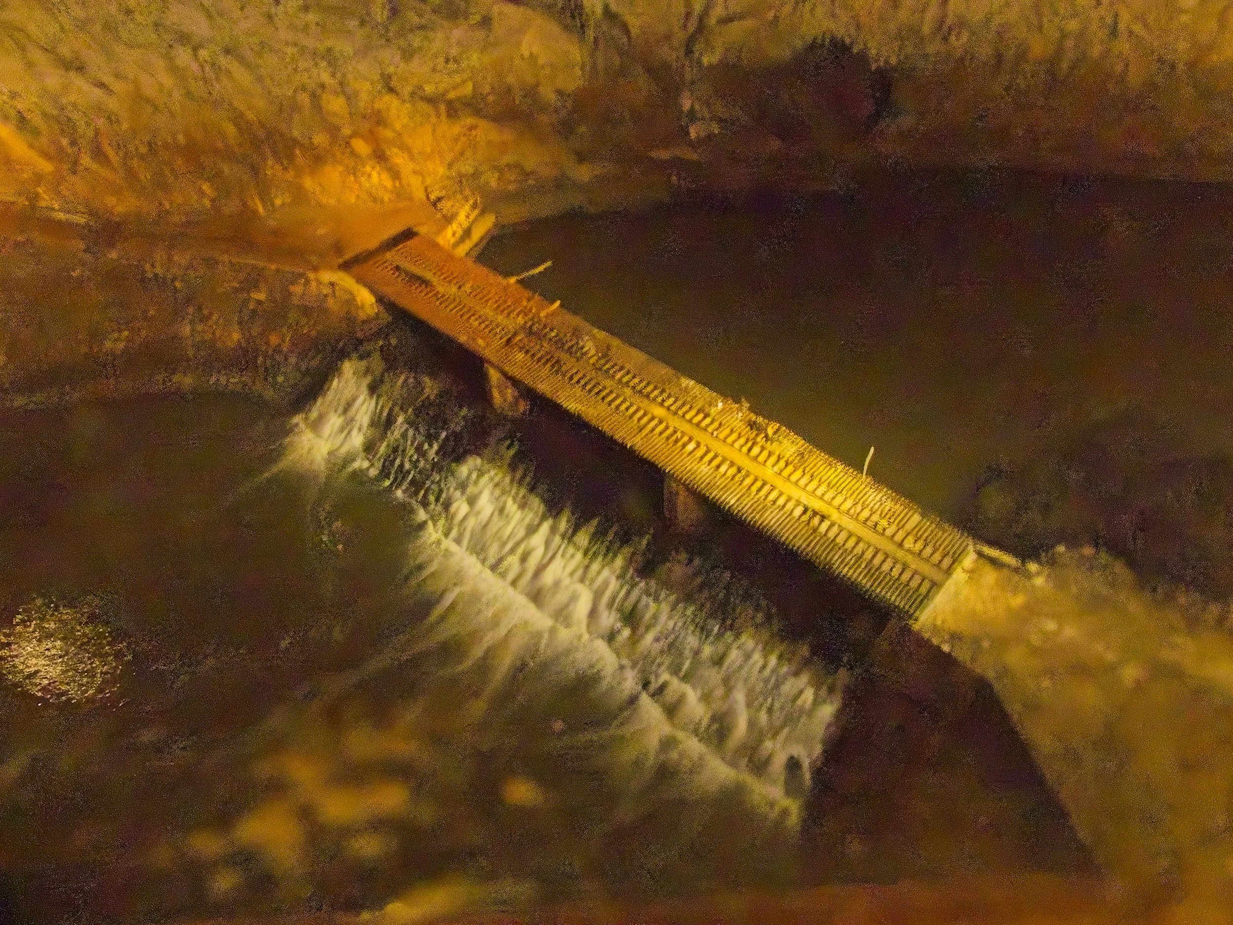 P1100050.jpg
