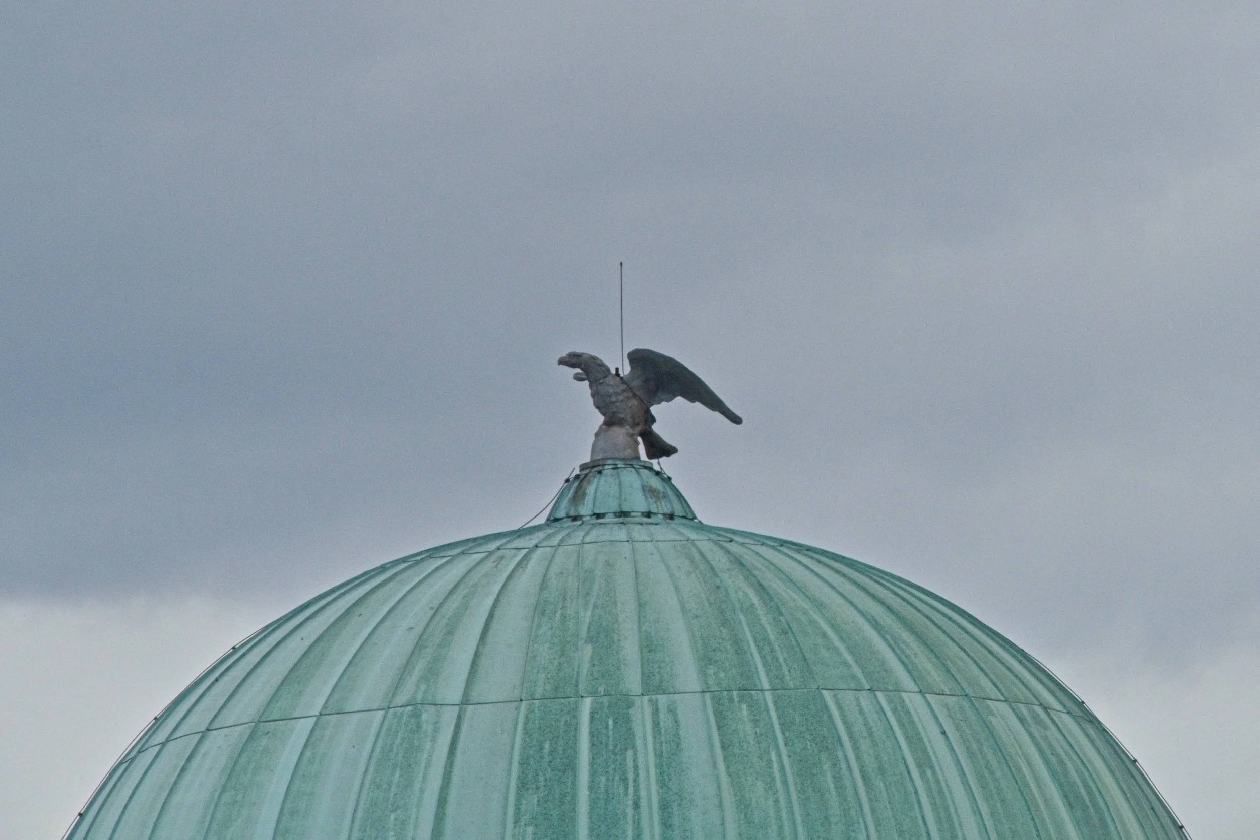 P1100156.jpg