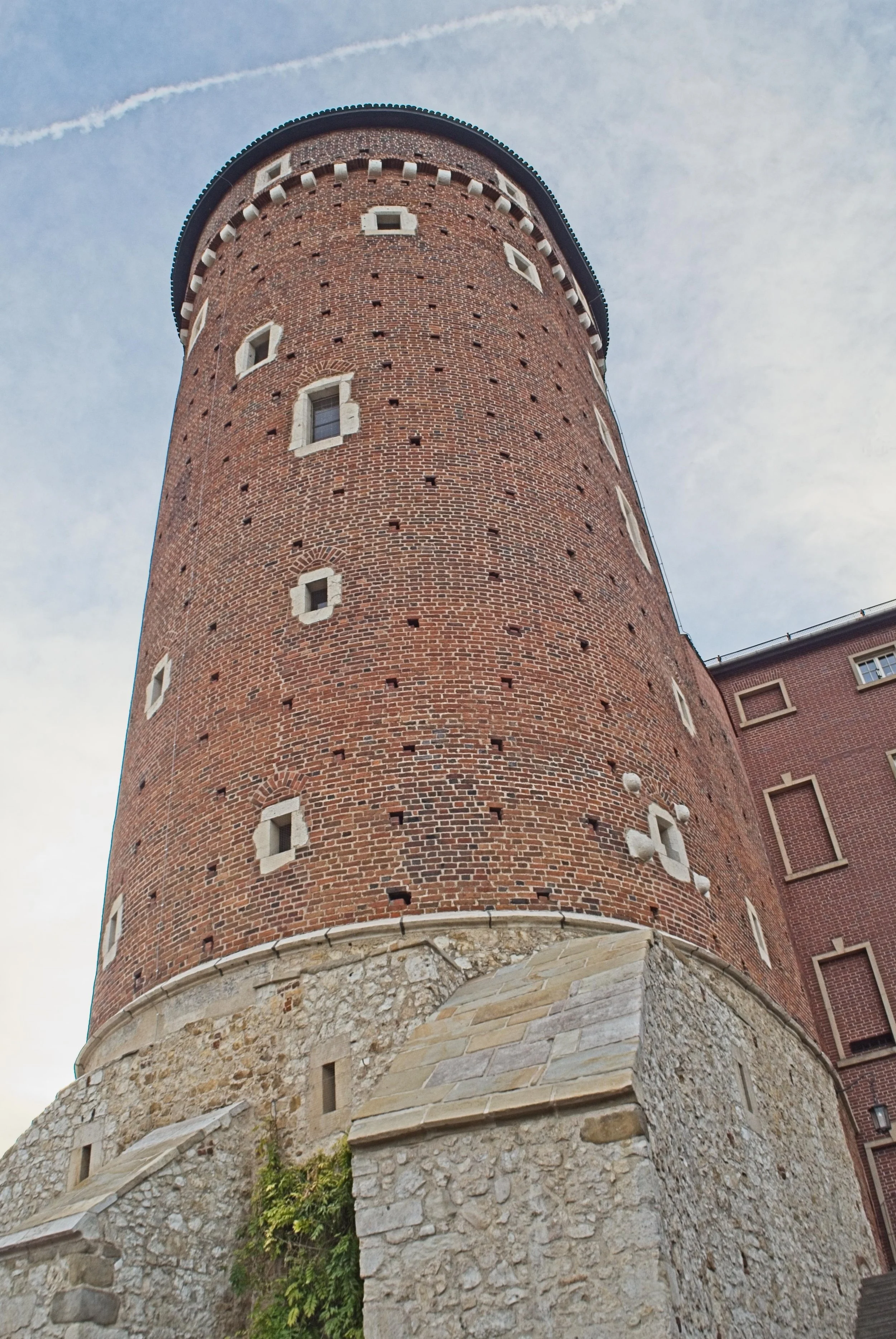 P9020178.jpg