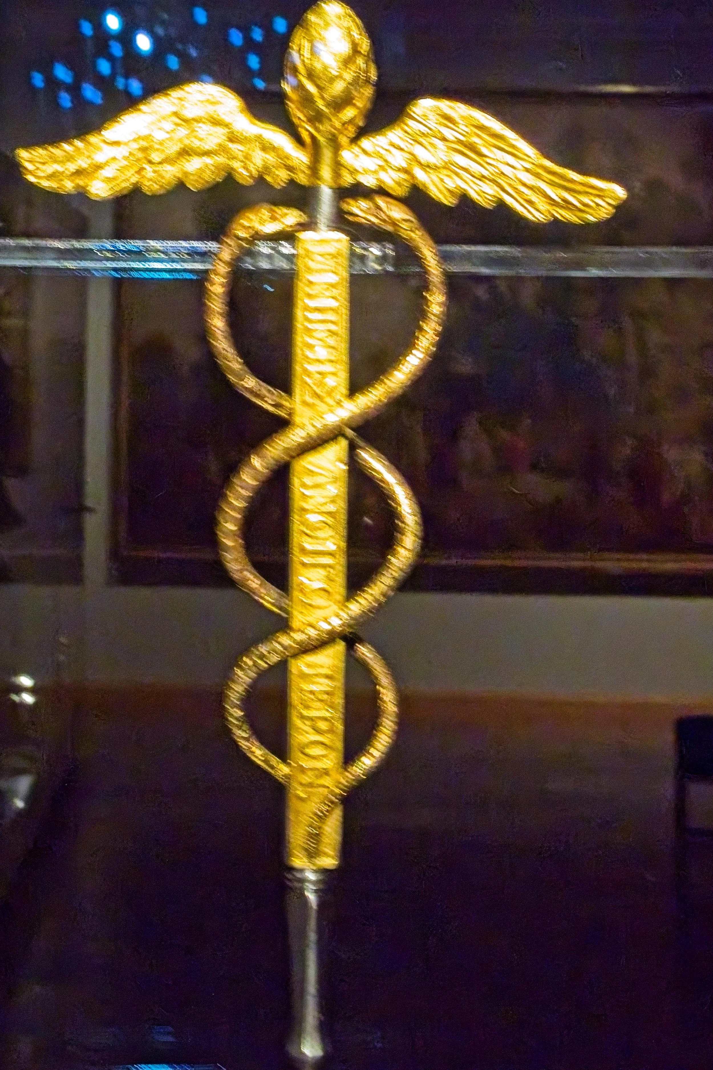 P9020057.jpg