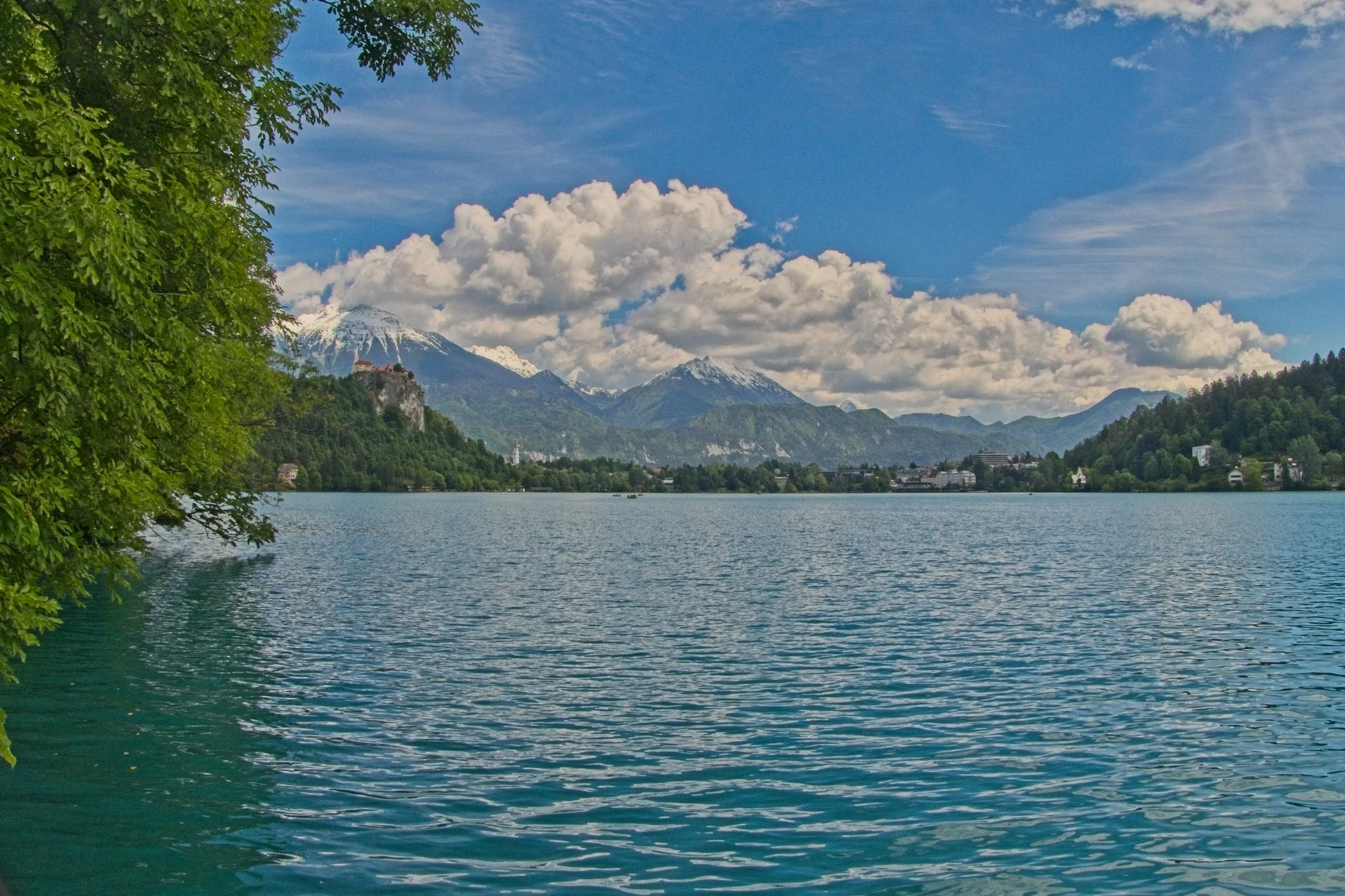 P1100330.jpg