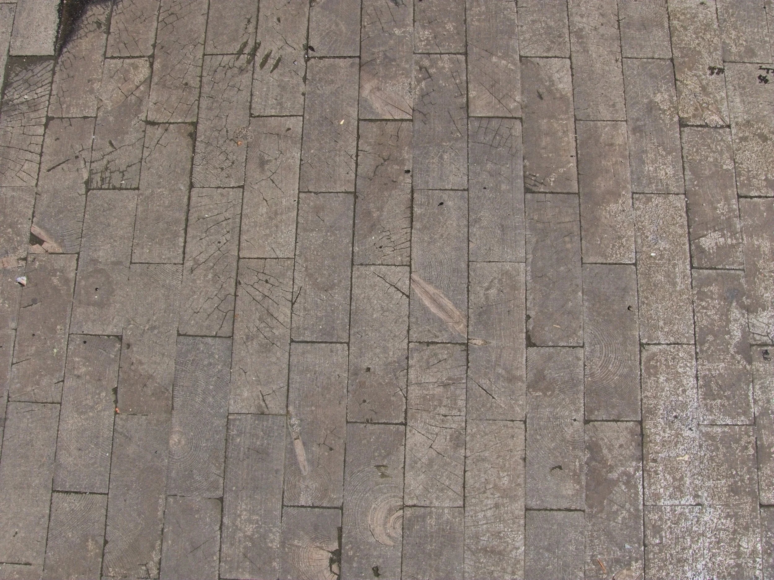 P1080259.jpg