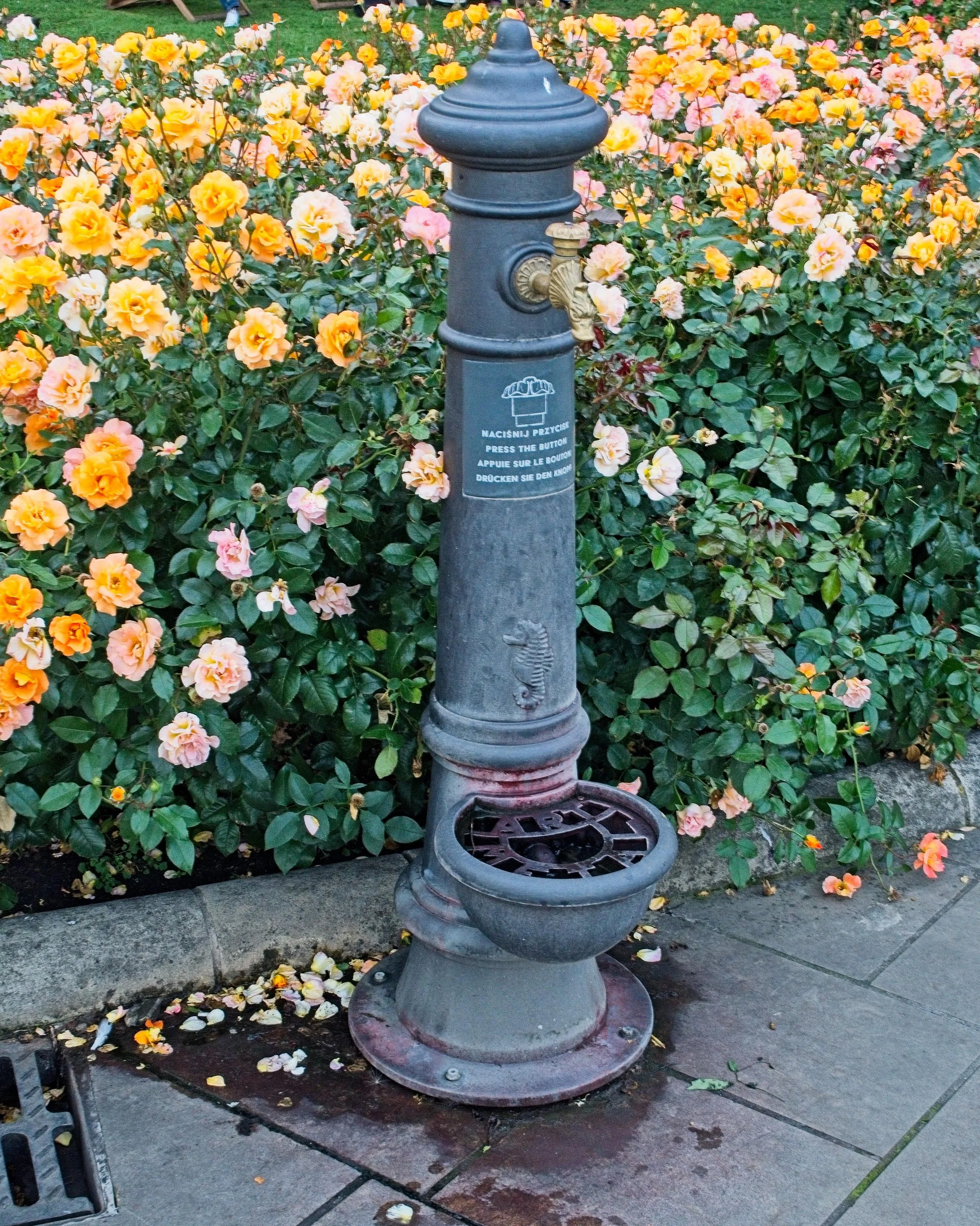 P9020194.jpg