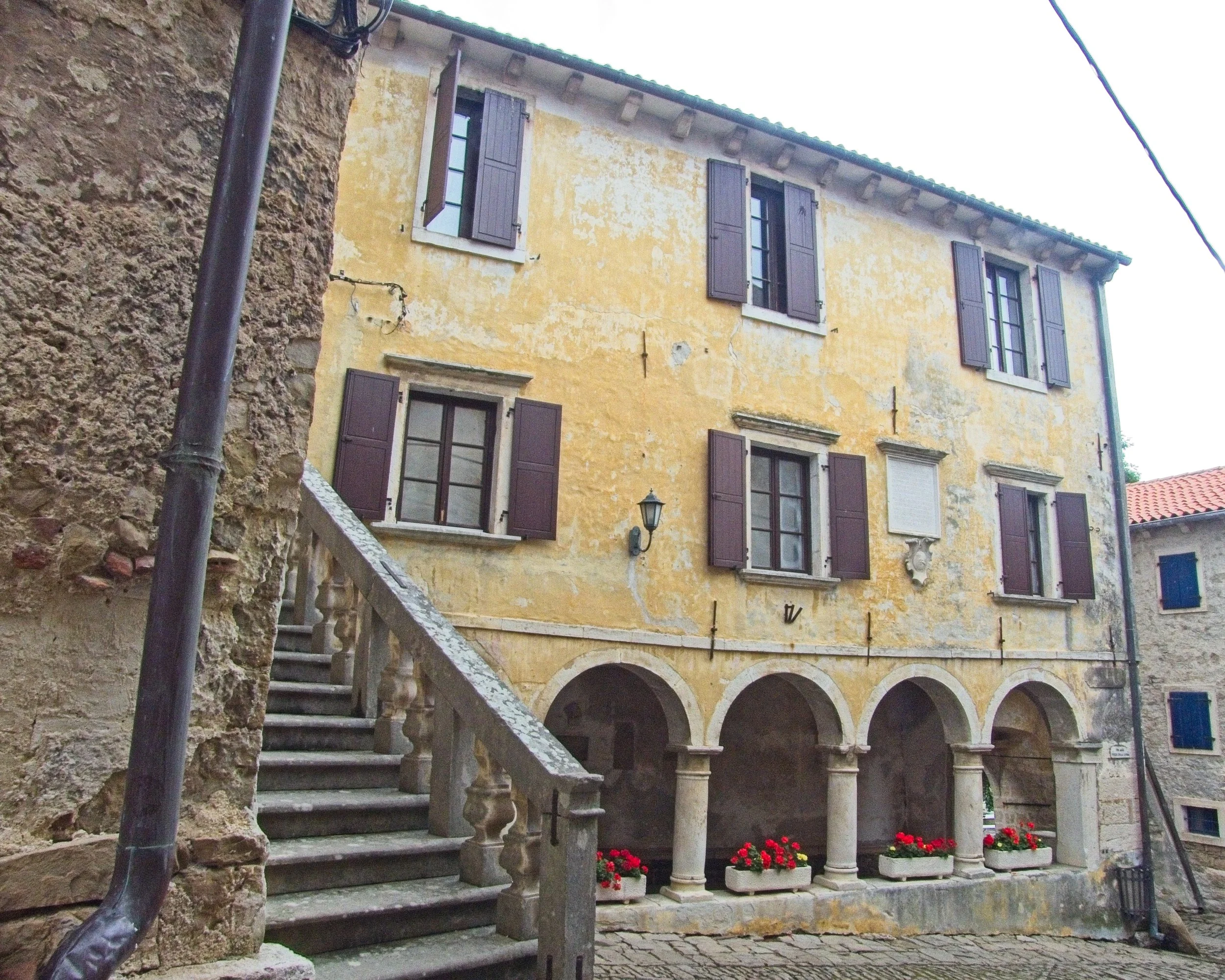 P1100129.jpg