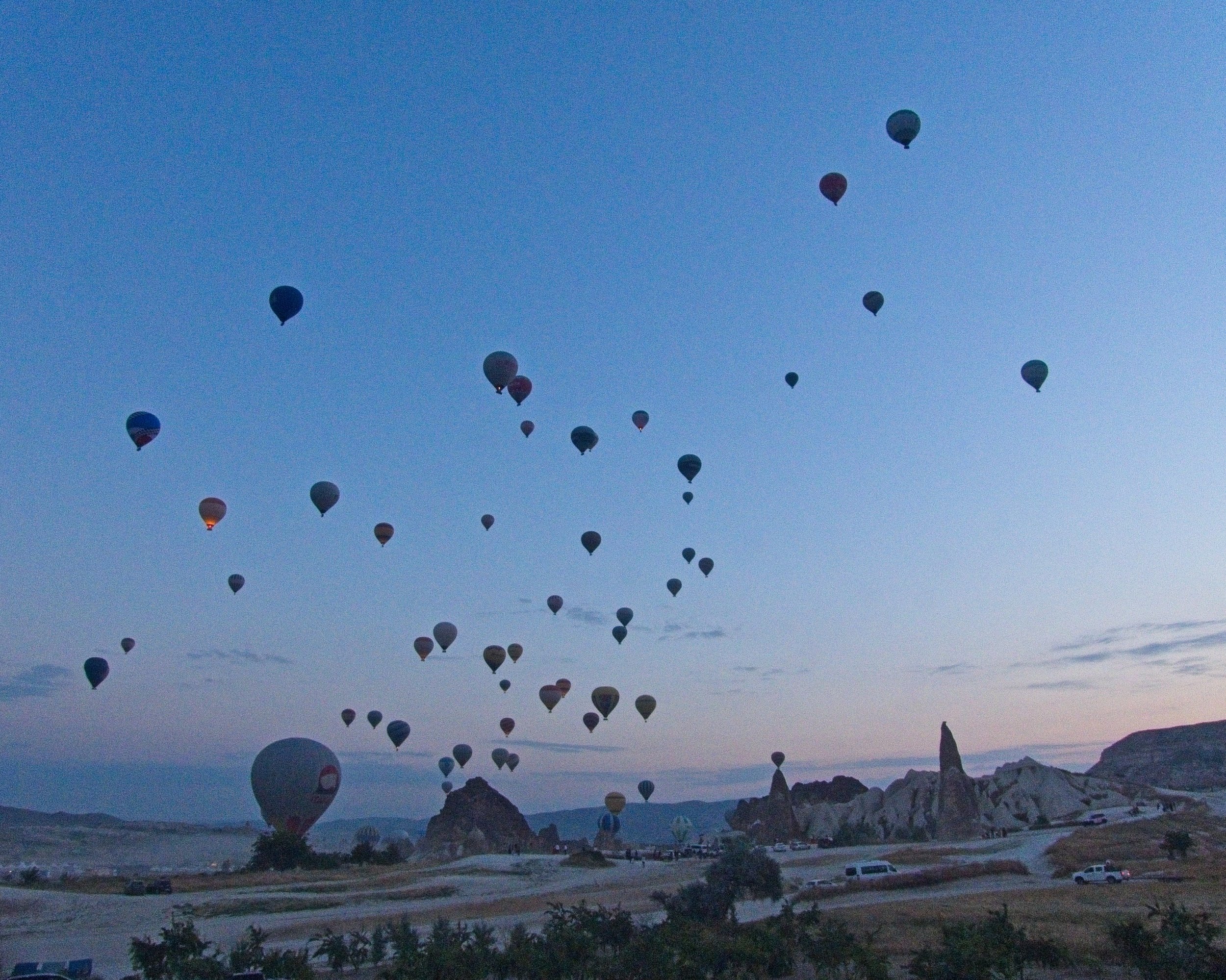 P1110349.jpg