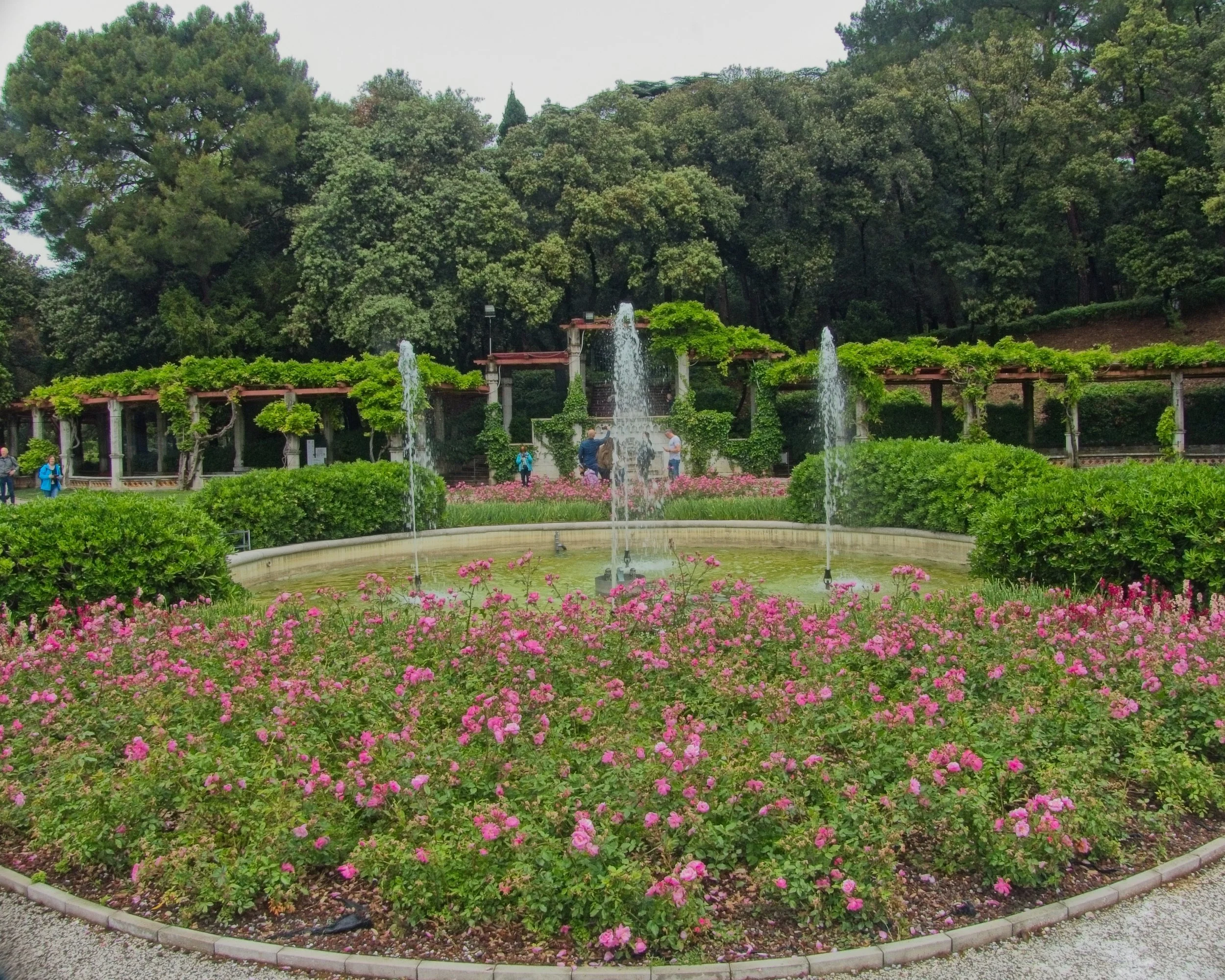 P1100203.jpg