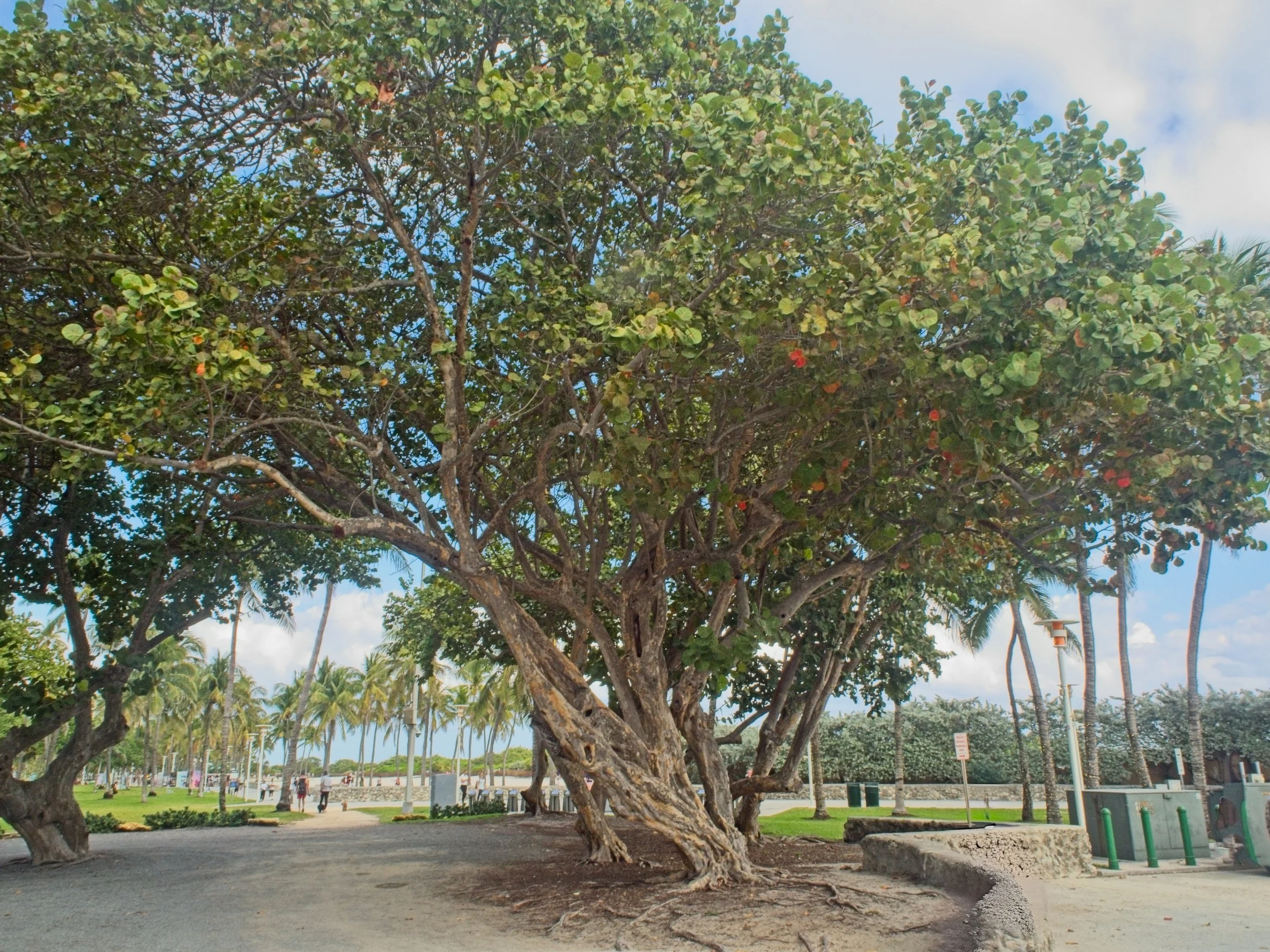 PC250312.jpg