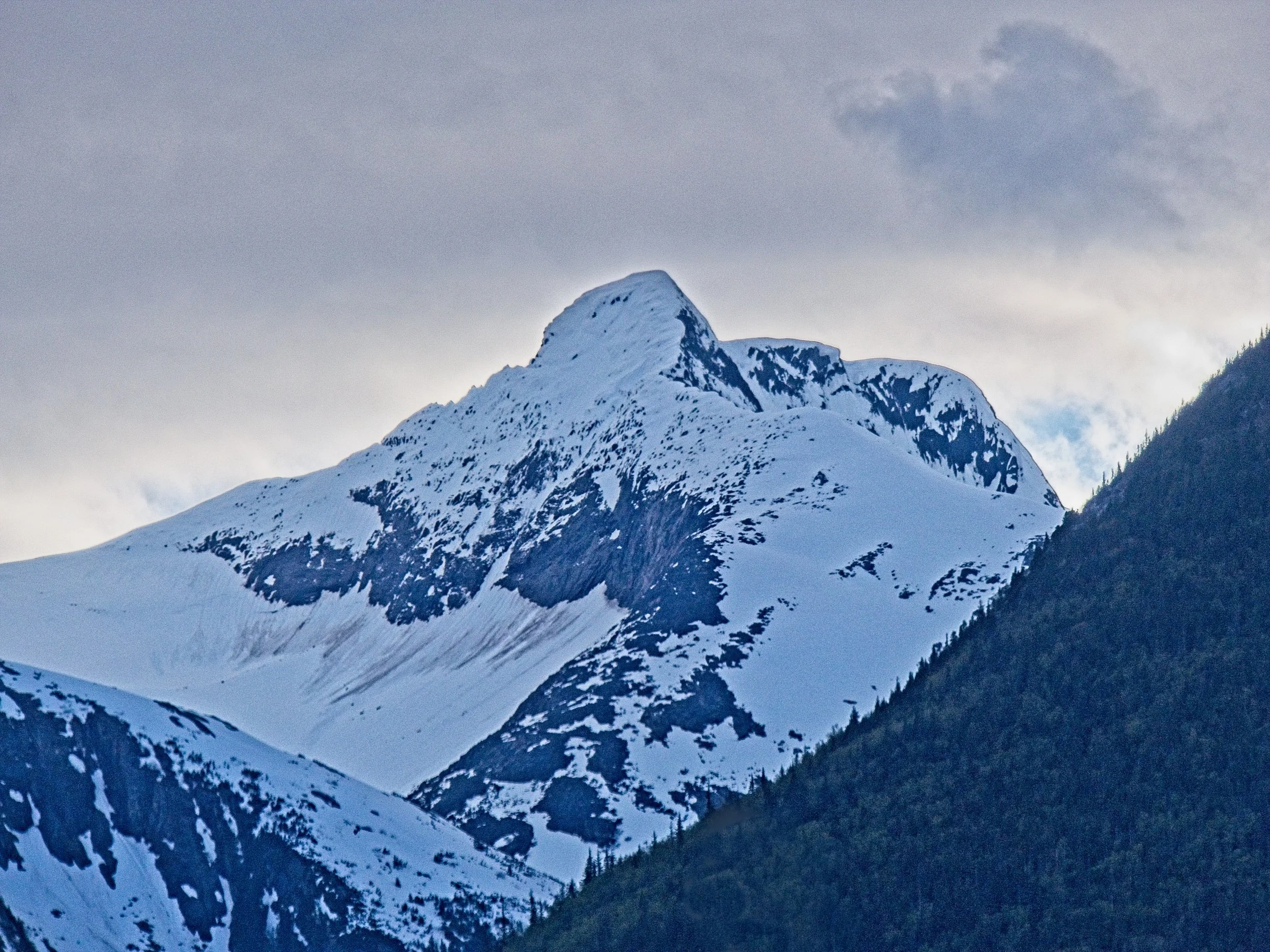 P1090054.jpg