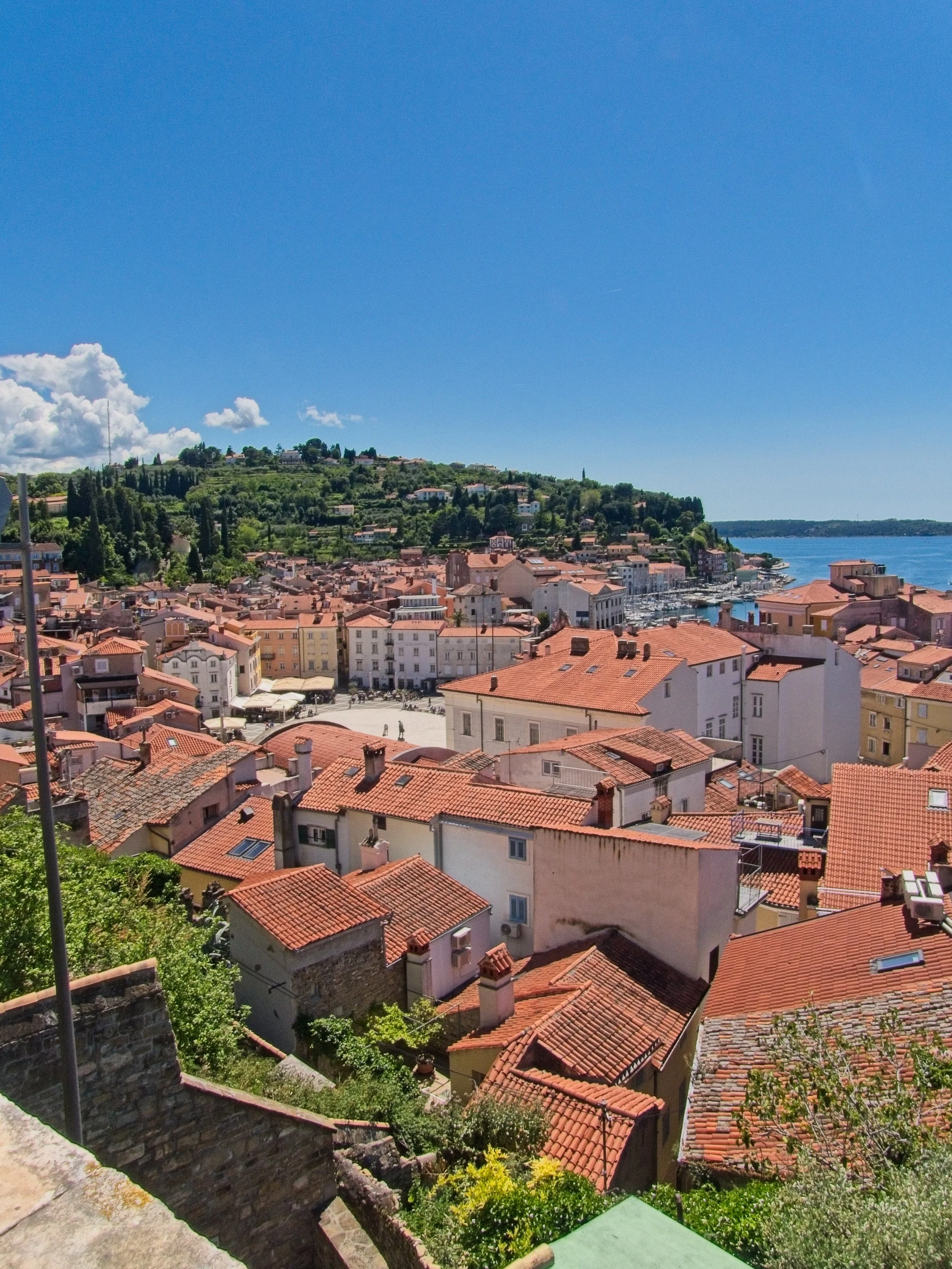 P1100284.jpg