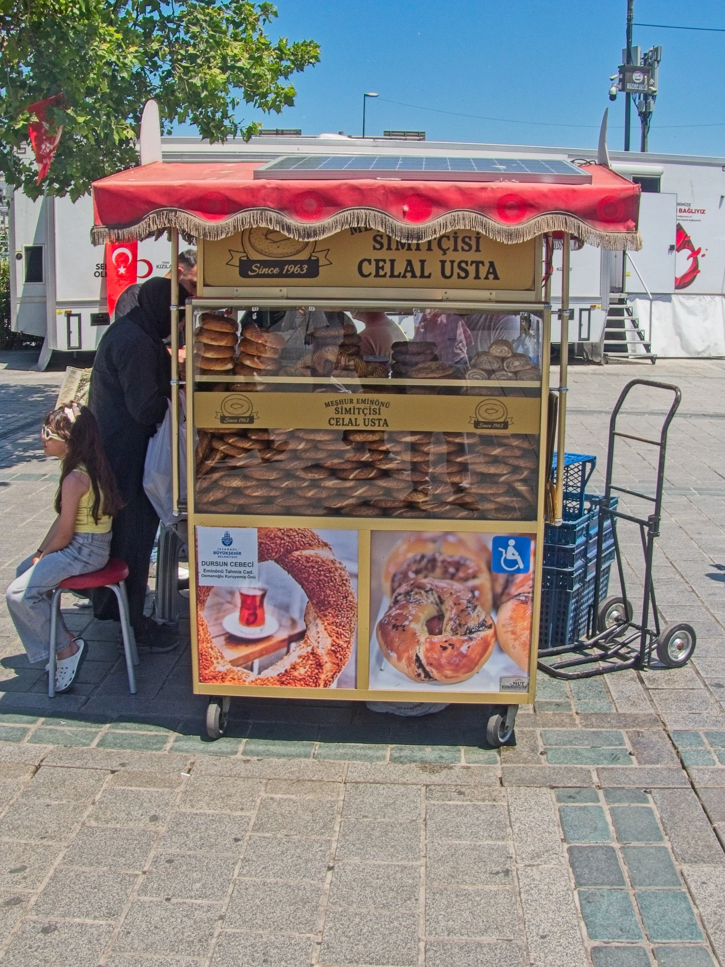 P1100576.jpg