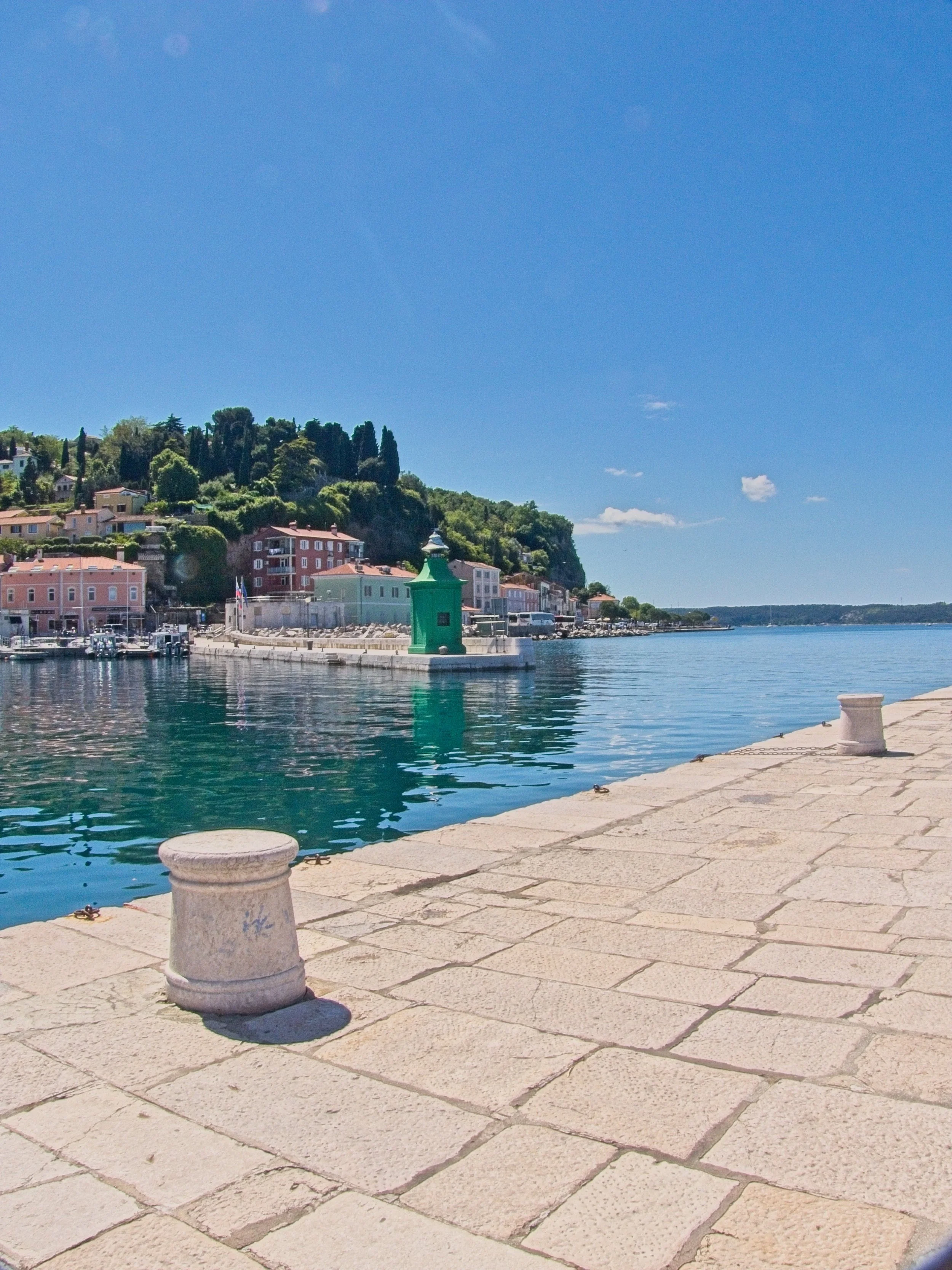 P1100254.jpg