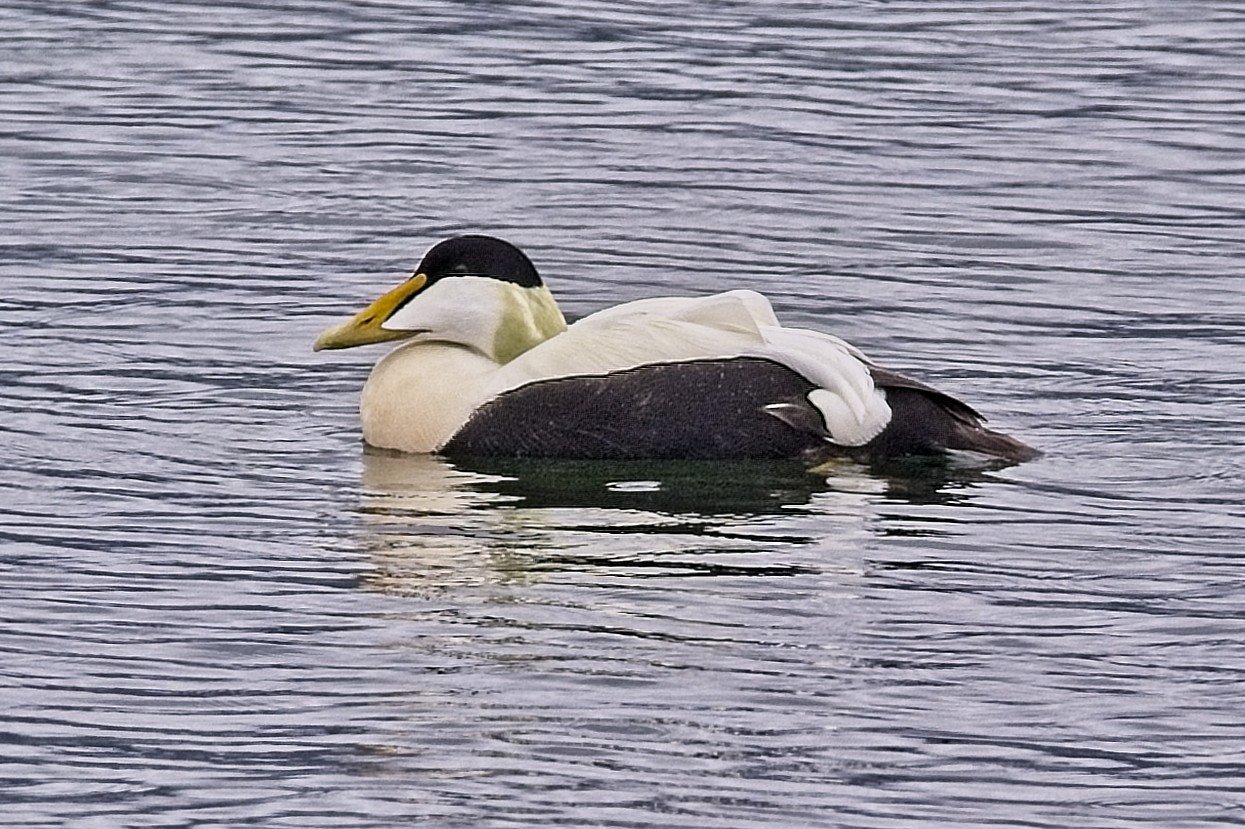 DSC_0409.jpg