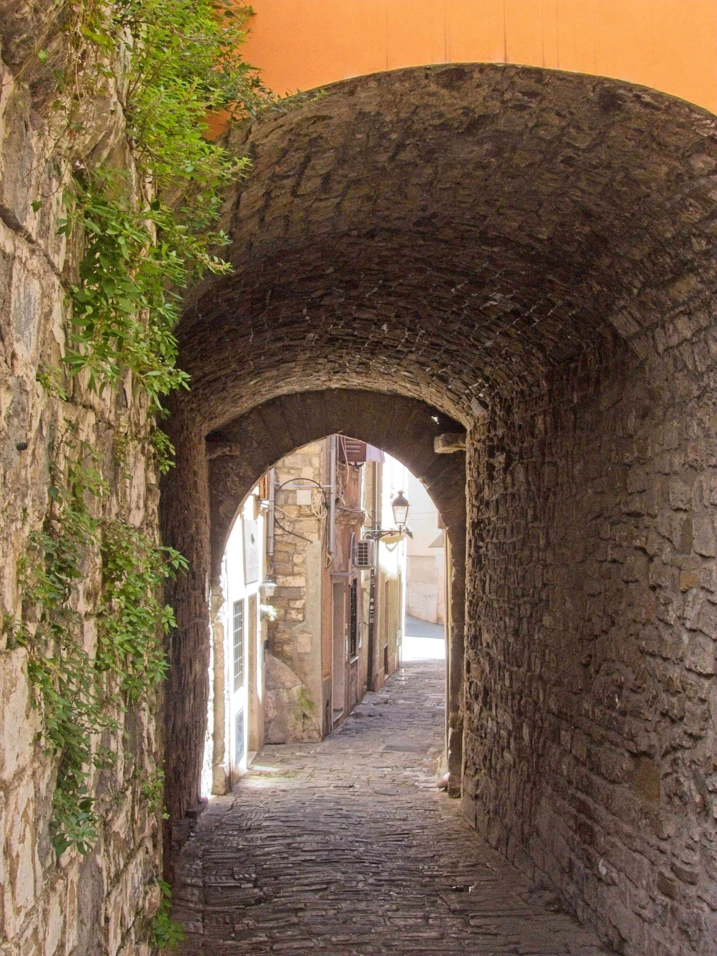 P1100275.jpg