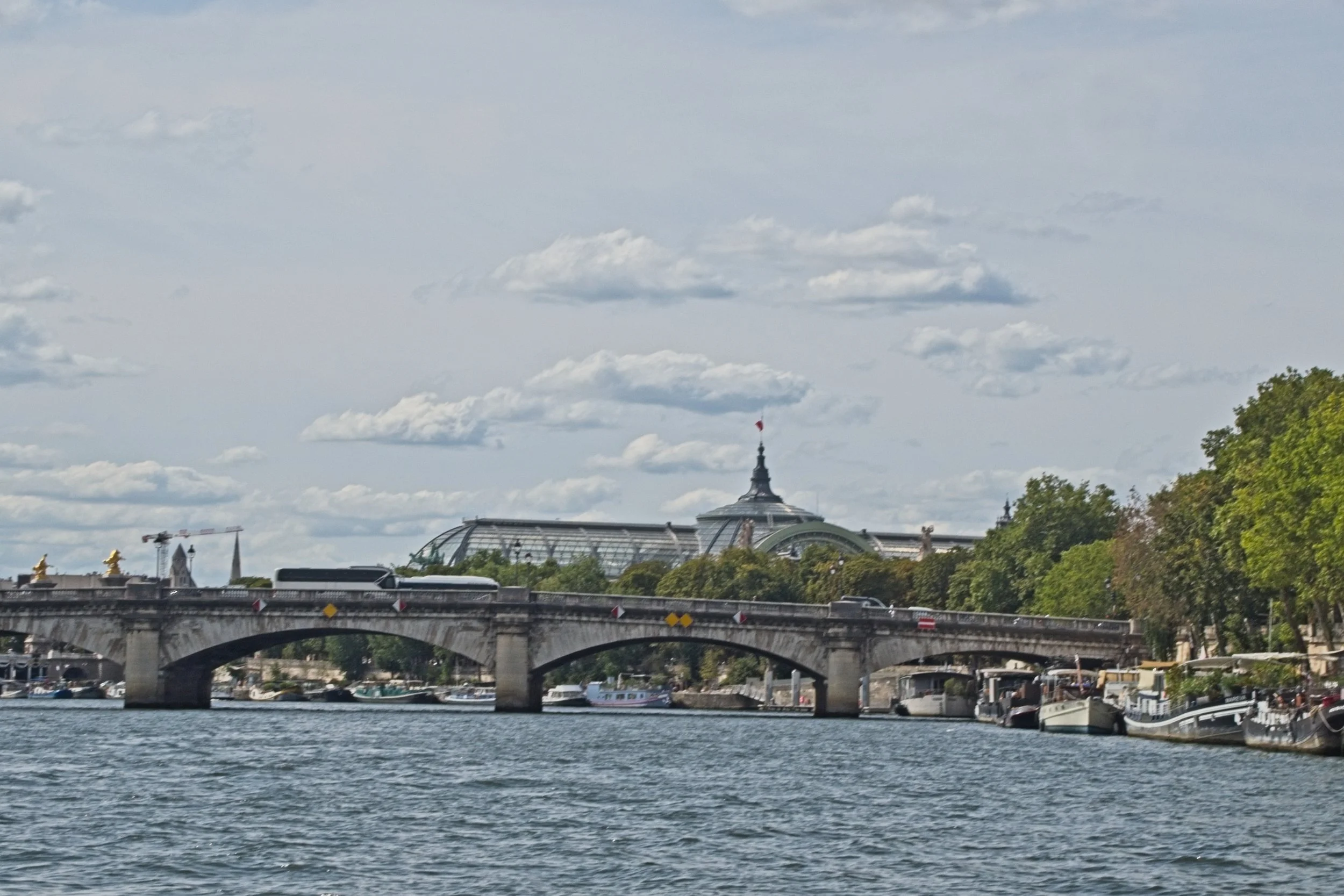 P7310762.jpg