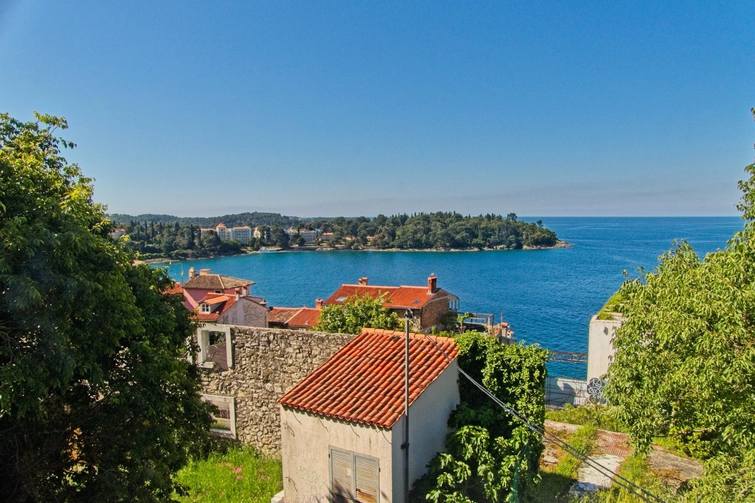 P1100391.jpg