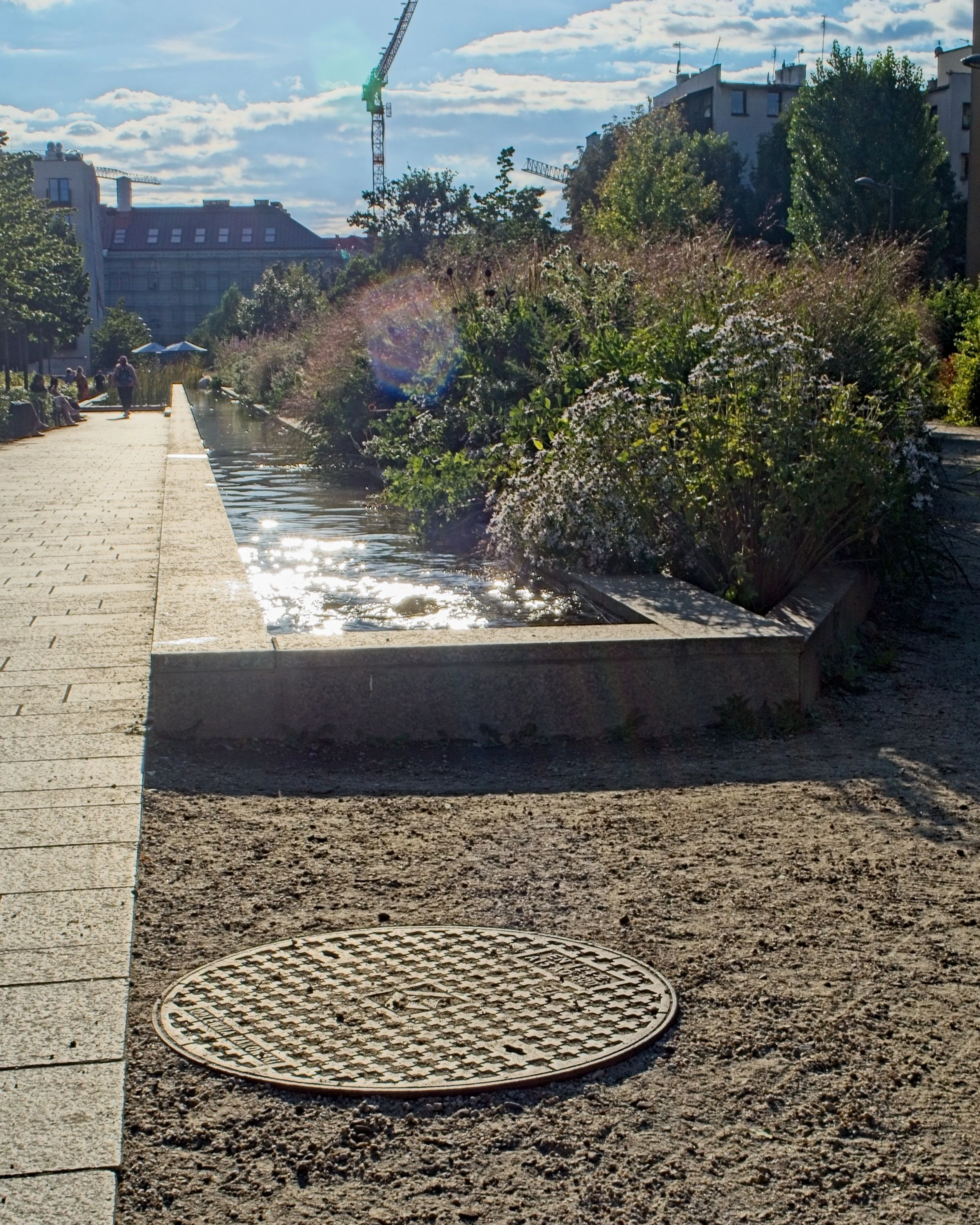 P9010048.jpg