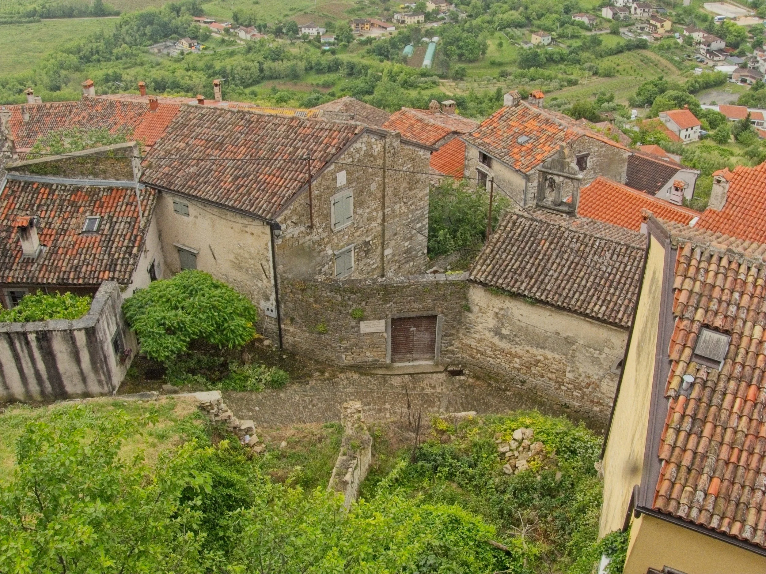 P1100092.jpg