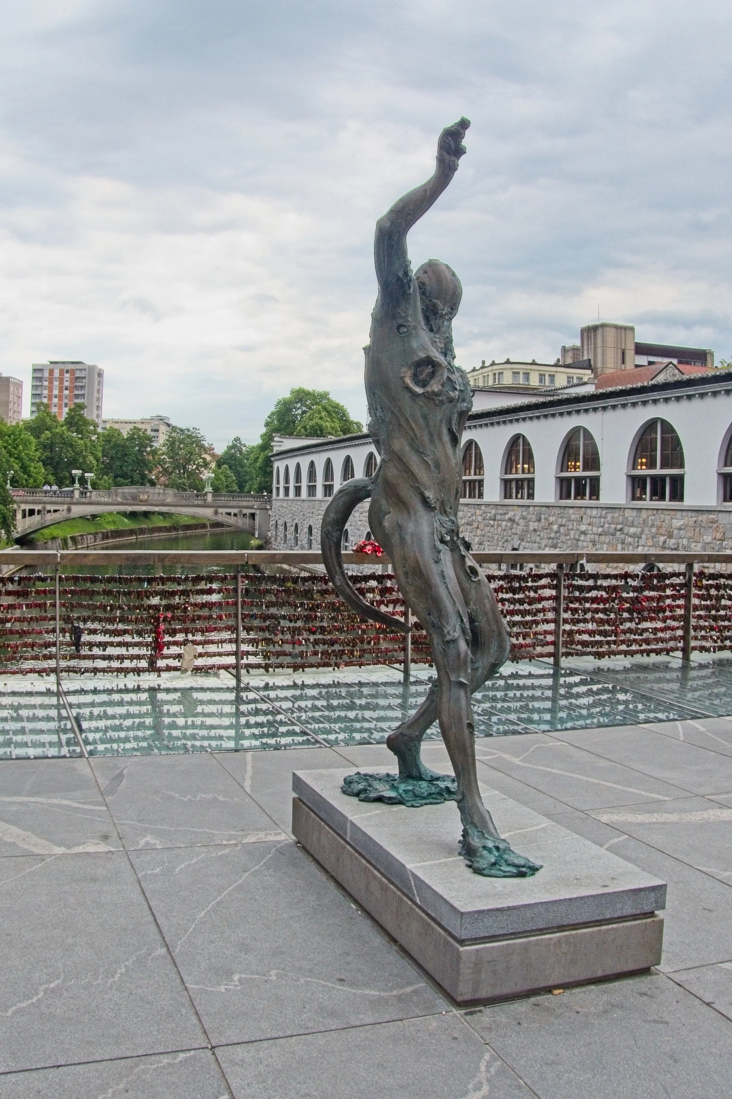 P1090956.jpg